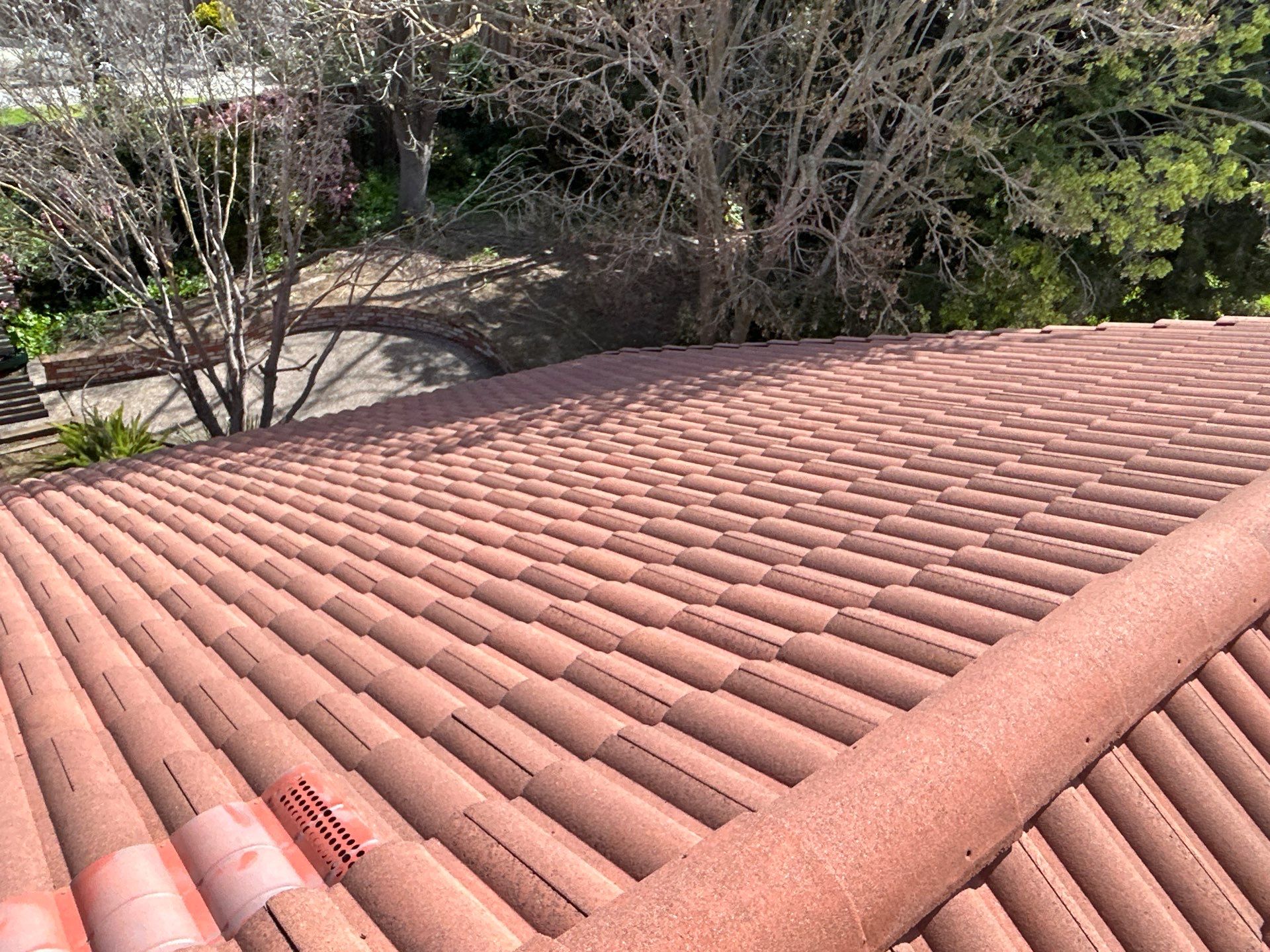 Insurance Renewal-Roof Cleaning by All One Solar Shine