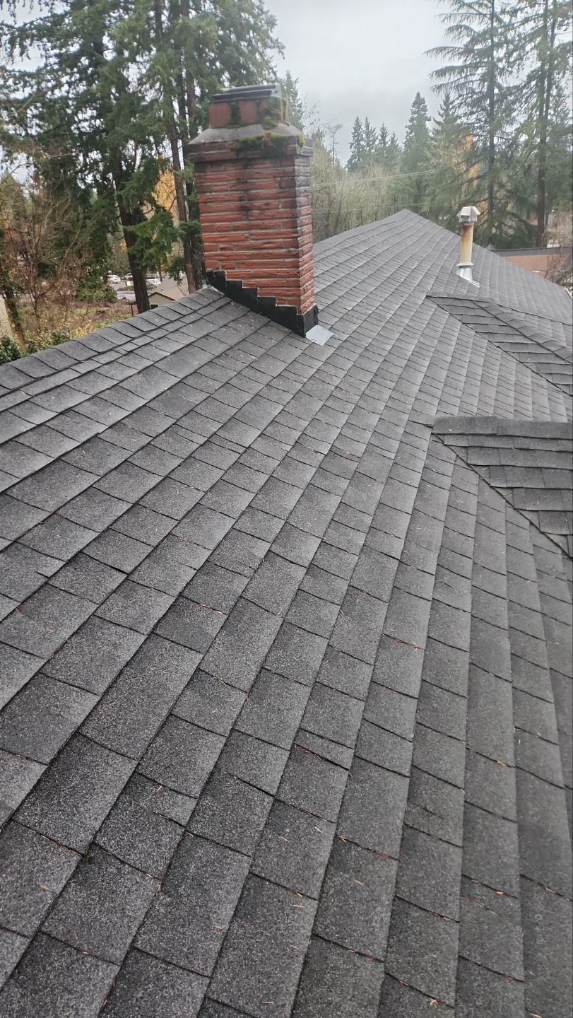 Driveway Repair using Pressure washing no chemicals by Willamette Outdoor Wash LLC