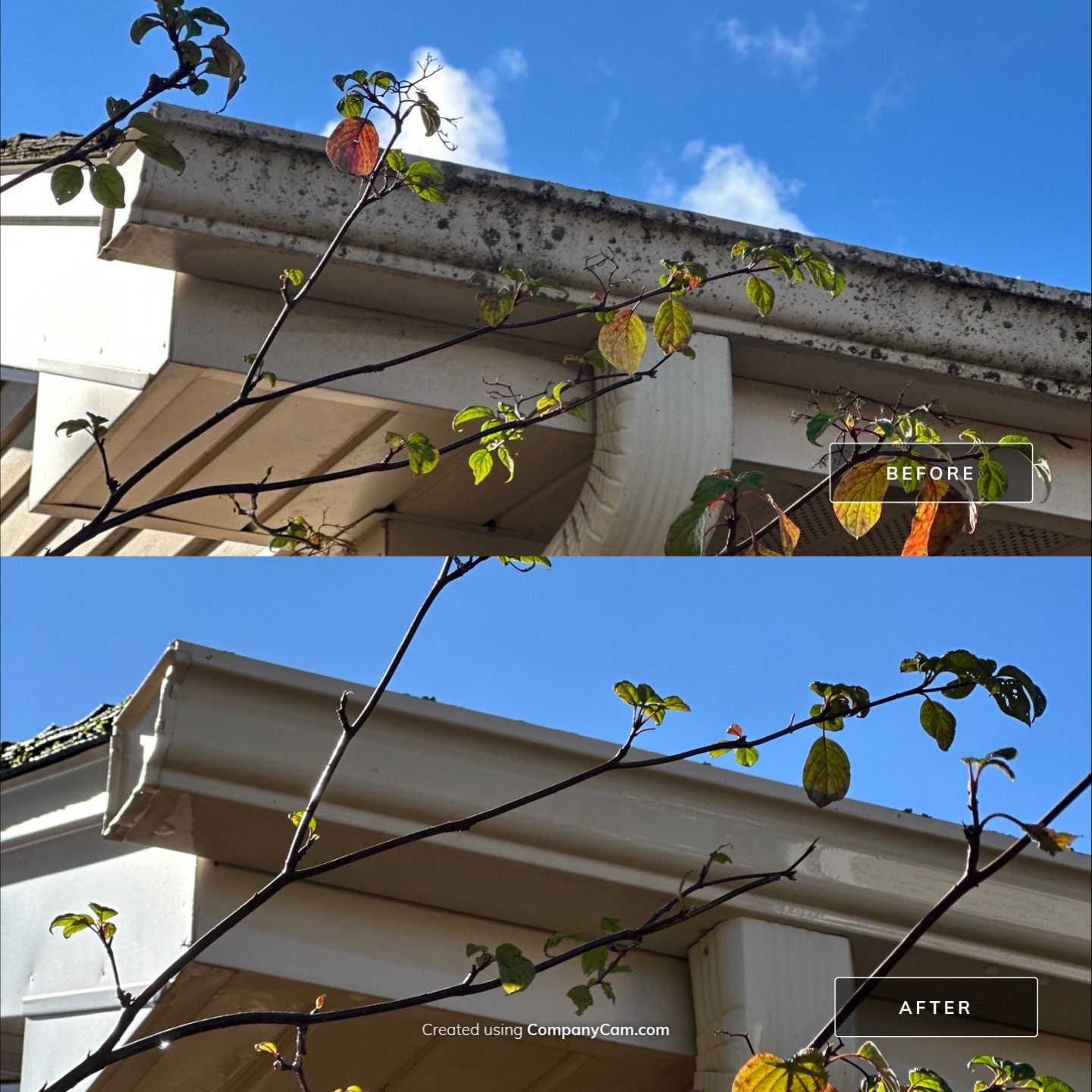 Project in Arlington Heights by Simmons Power & Soft Washing