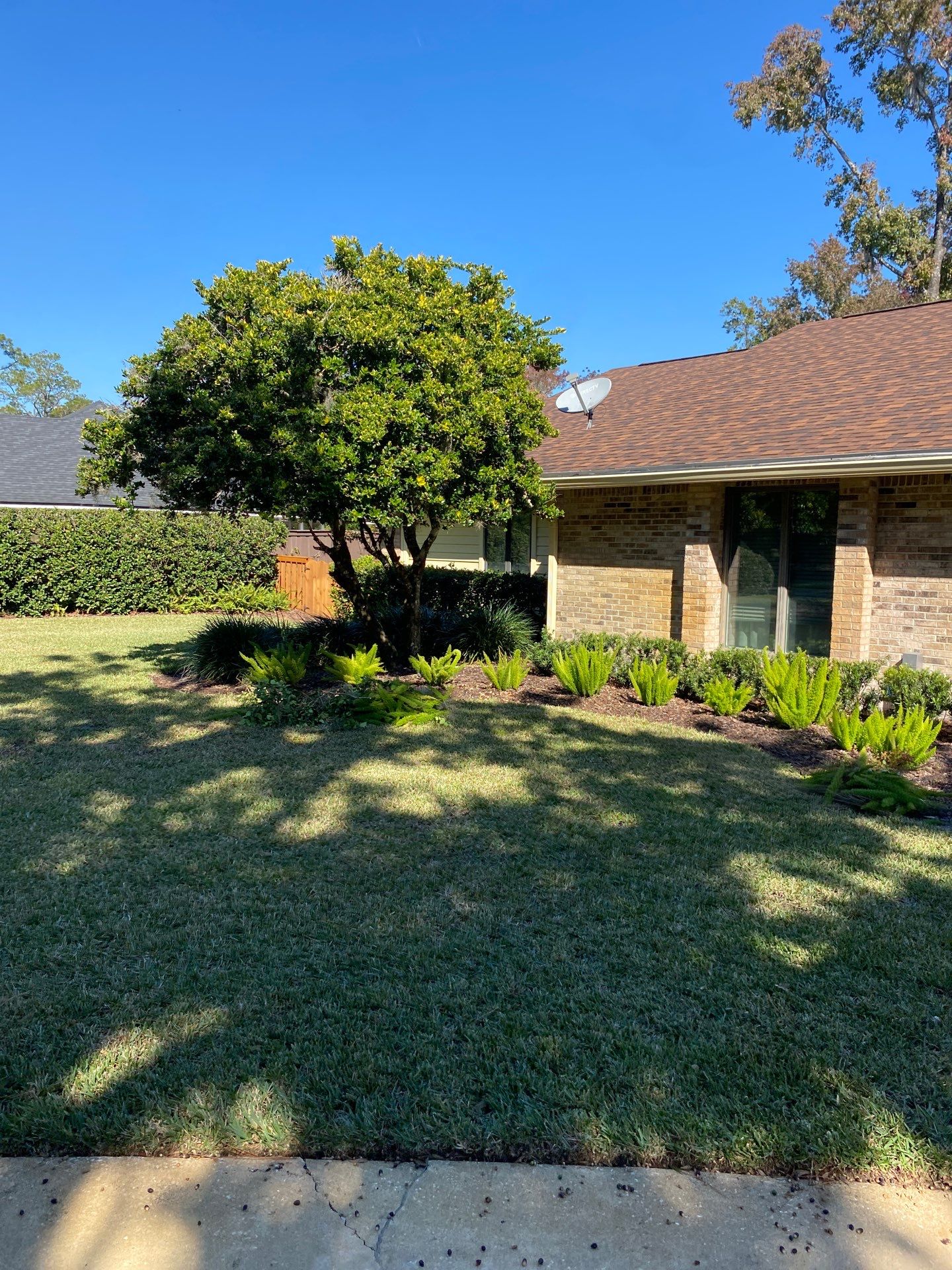 Deerwood Resident | Extreme Clean Up by ProGreen Services