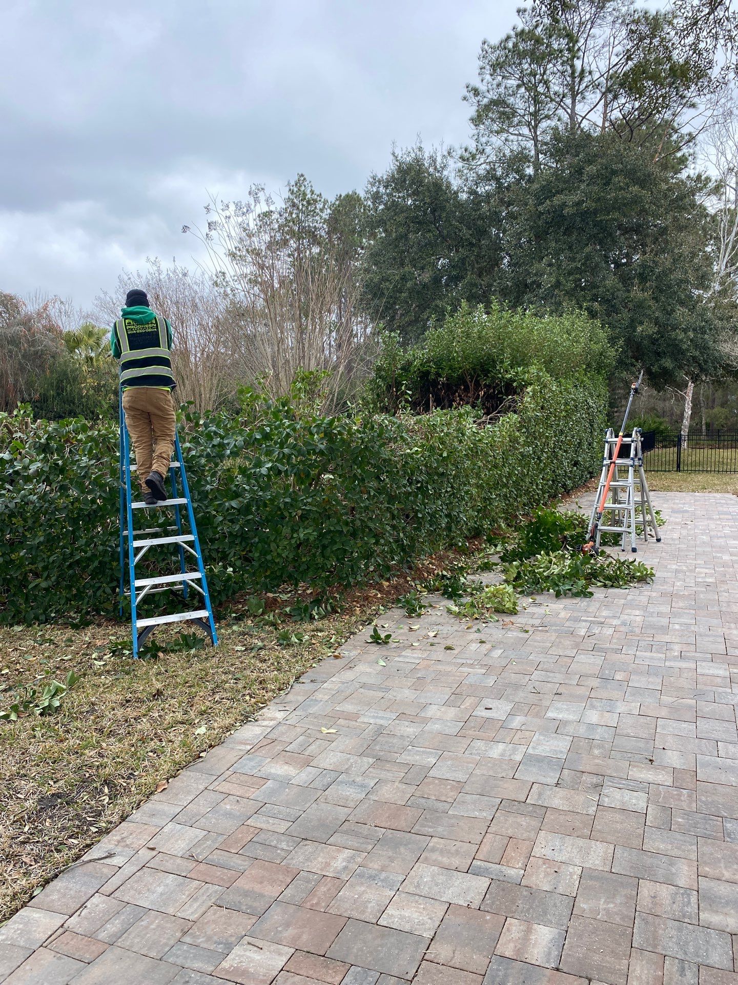 Residential | Hedge Trimming by ProGreen Services
