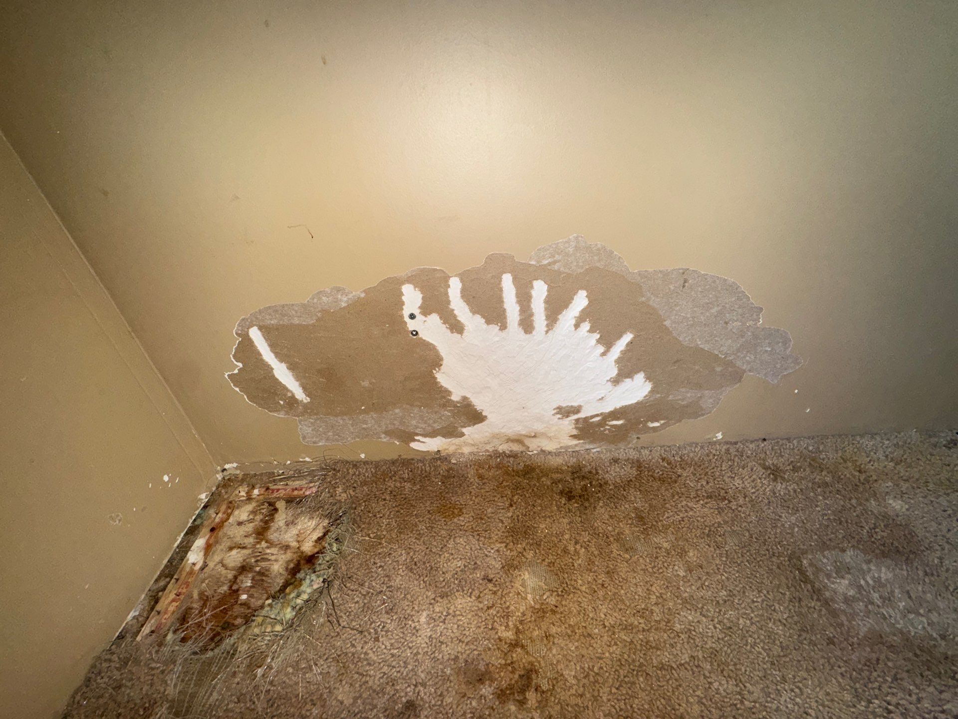 Prepping Home To Sale by Axtra Hand