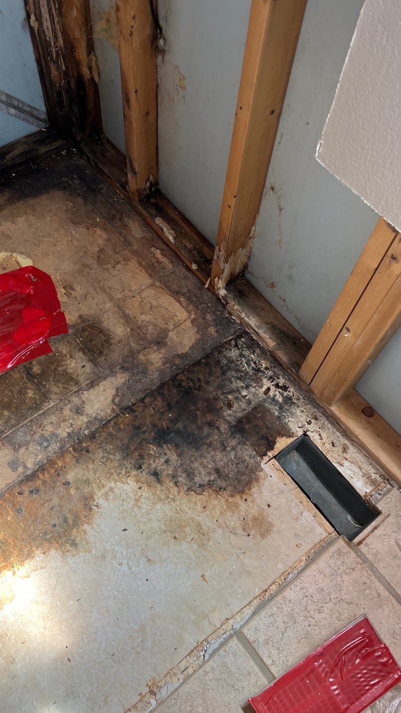 Water Damage and Mold Remediation by Accountable Home Services