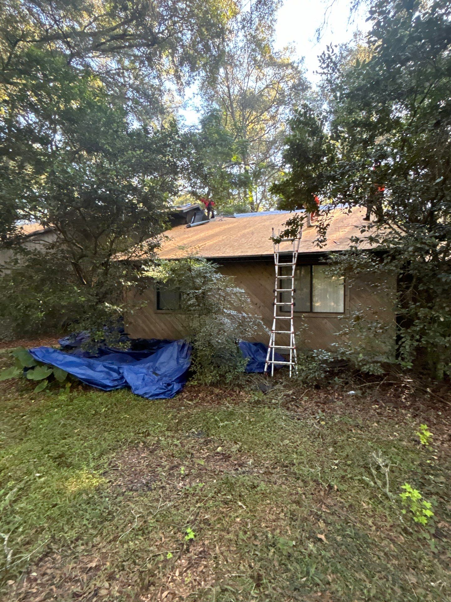 Roof Replacement in Gainesville, Florida by Brehm Roofing