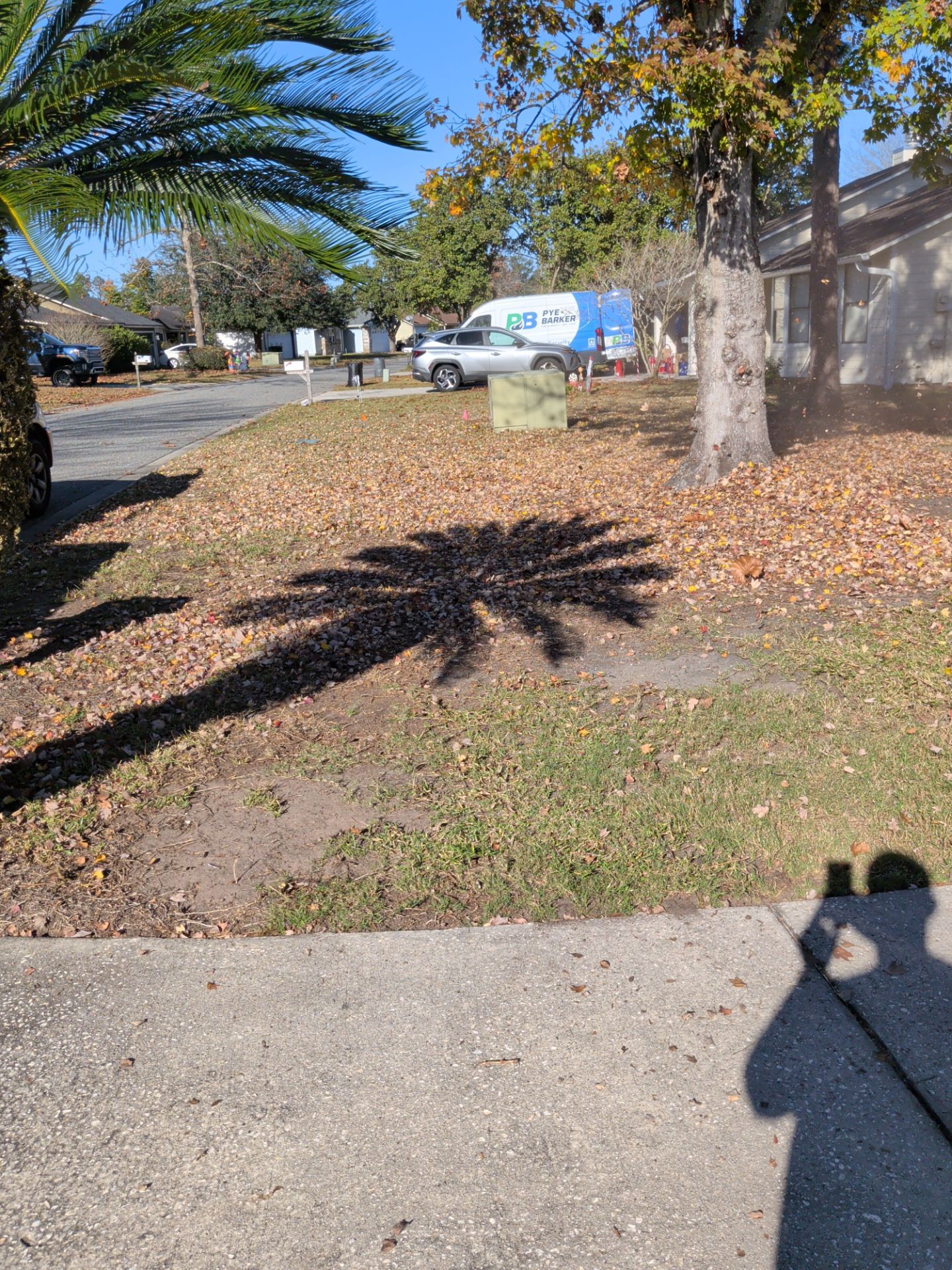 Residential Leaf Removal Service — Westside Jacksonville by Harmoni Home Services