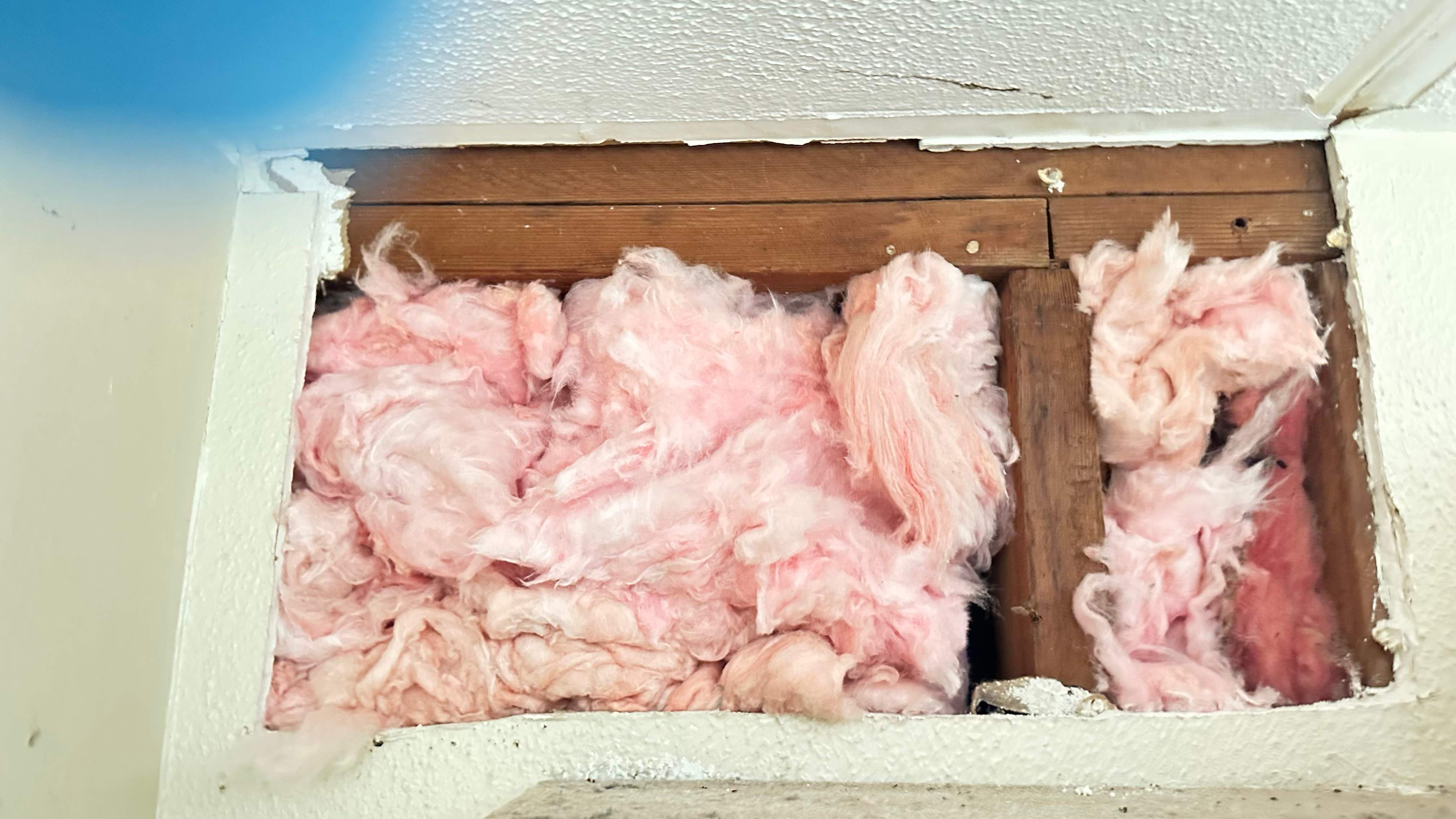 Laundry Room by Rockwall Honey Bee Company