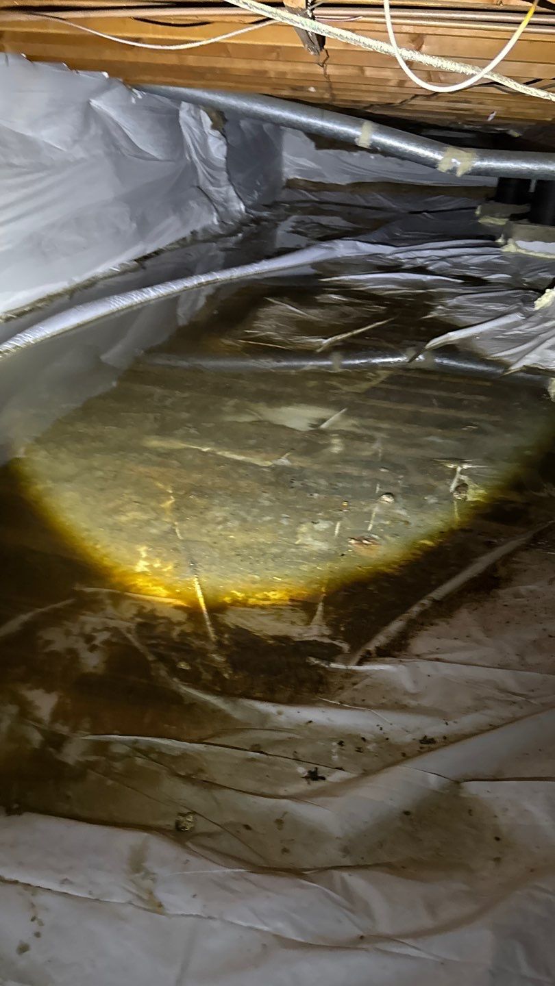 Project in Boulder by Accountable Home Services