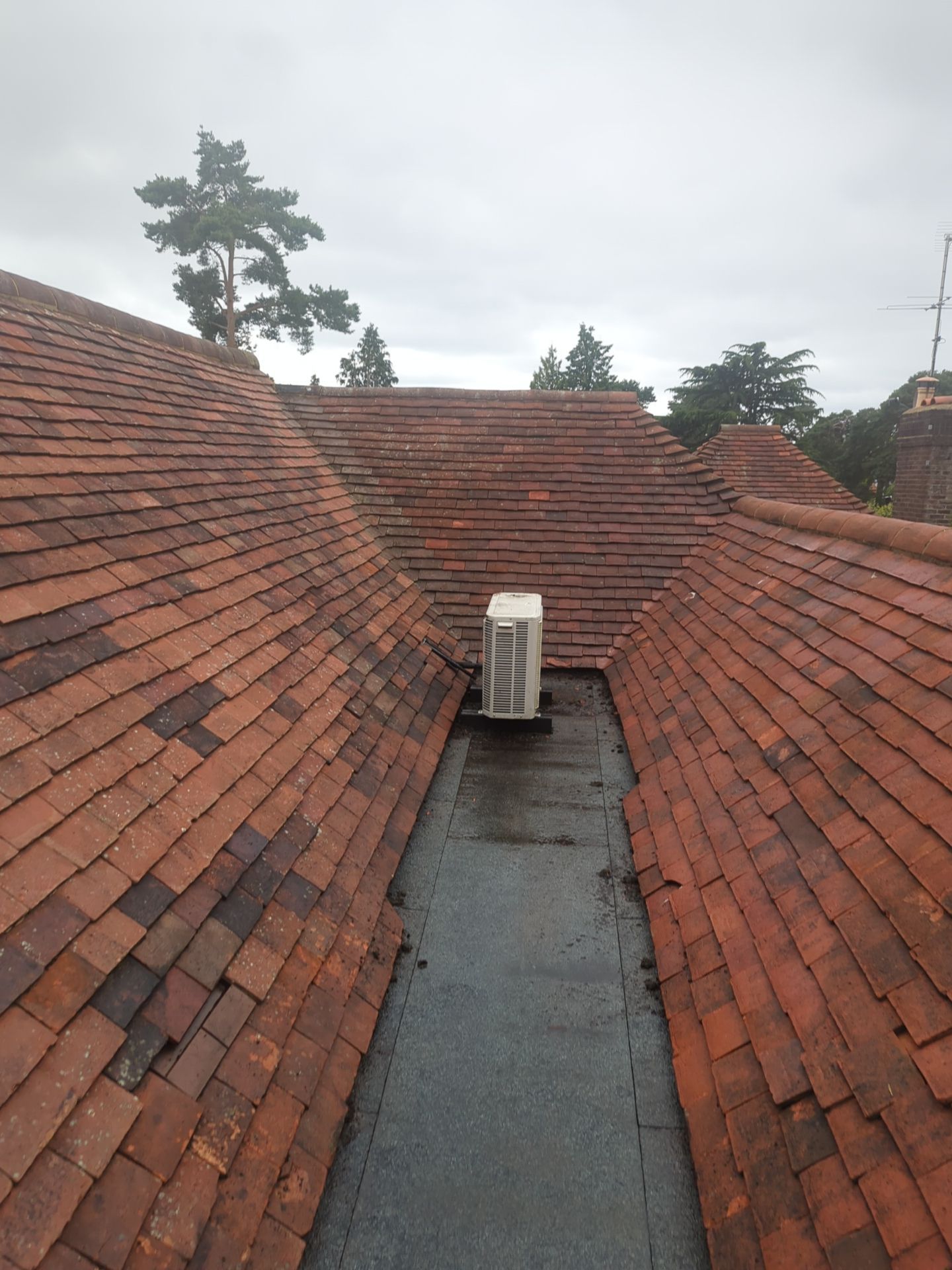 Roof Clean - Biocide Treatment using Honda 15lpm Low Pressure Washing Machine by Ges Exterior Cleaning ltd