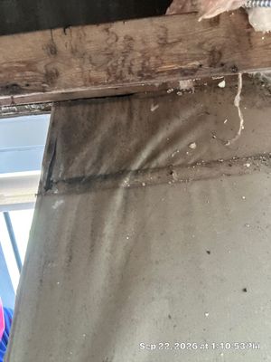 Flood Damage Cleanup — Cape Coral, FL