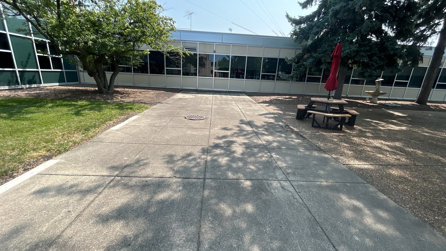 concrete using Algaecide, soft wash soap by Northern Power Washing LLC.
