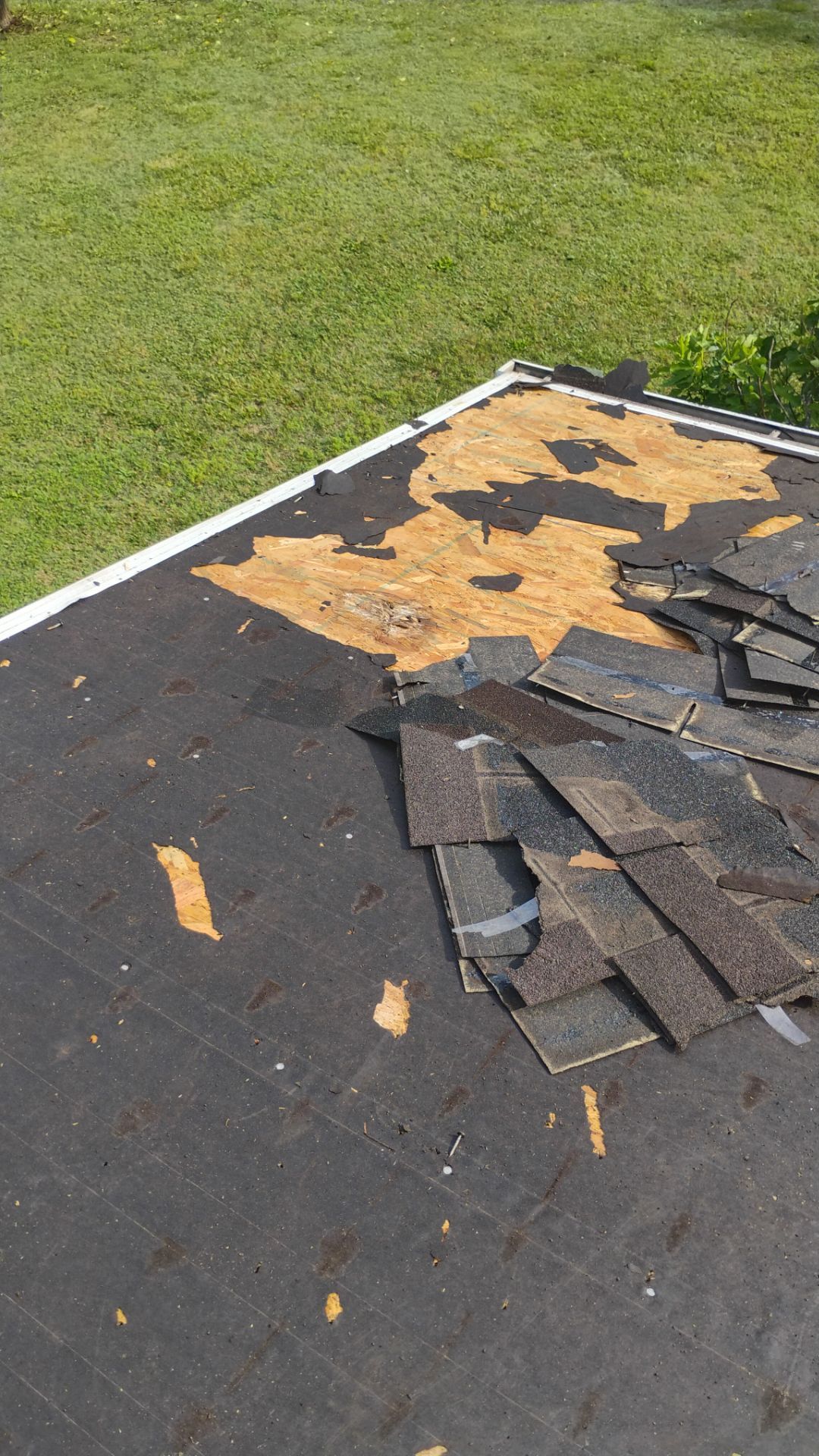 Taylor Roof by BROCK BUILDERS 