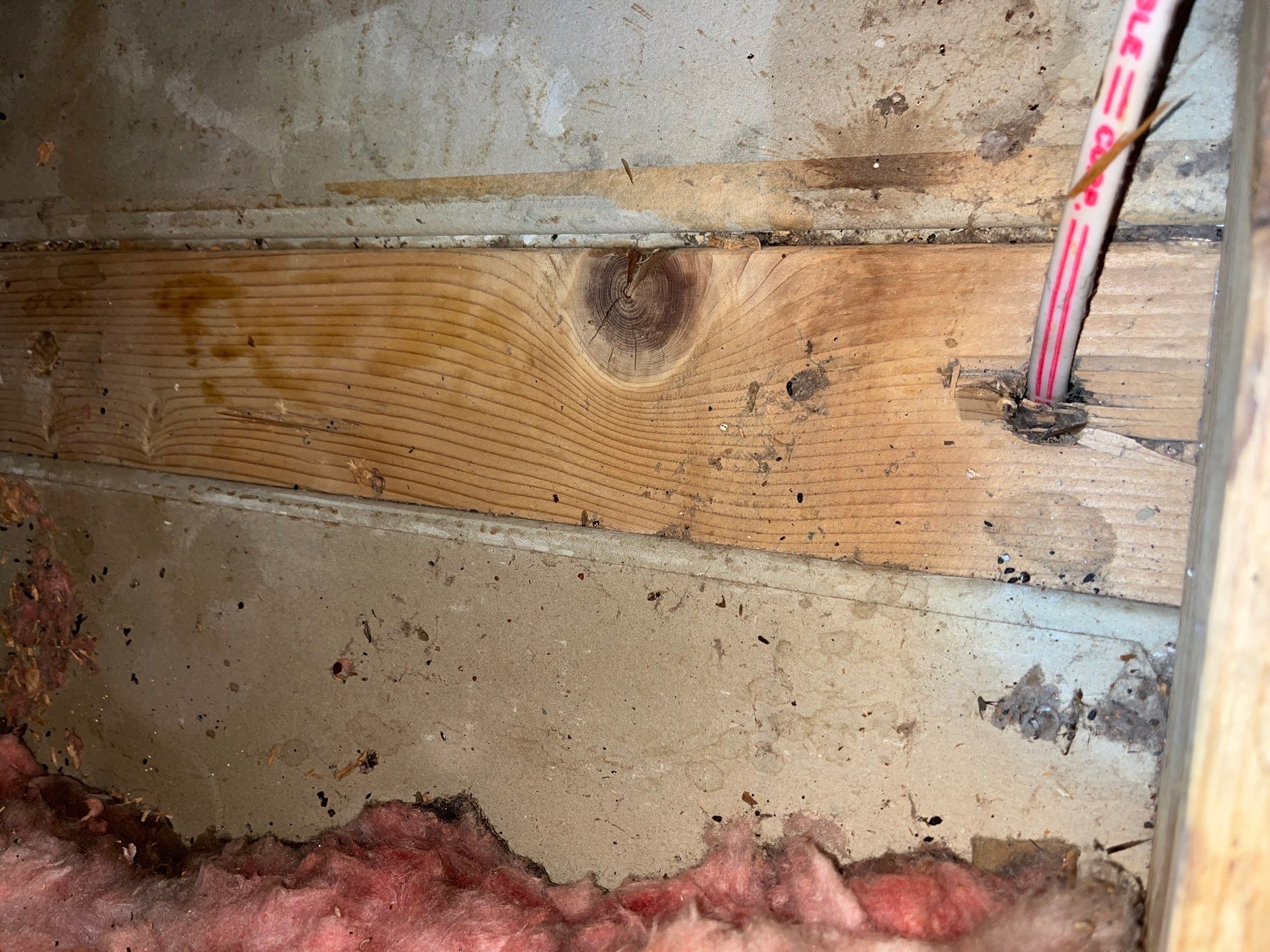 Addressing Attic Mold and Upgrading Insulation in Cranberry Township, PA 16066 by Home Environment Solutions