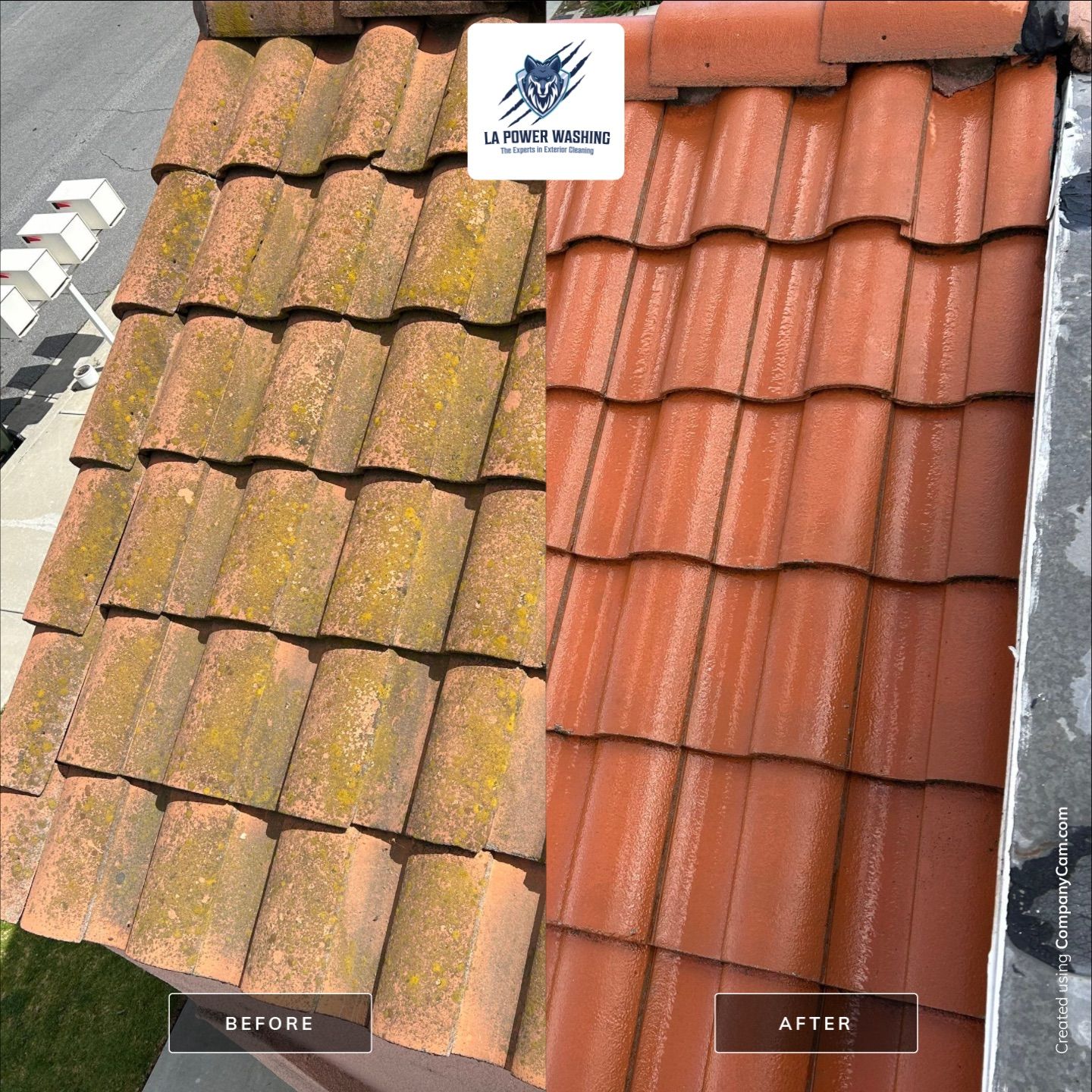Roof Cleaning