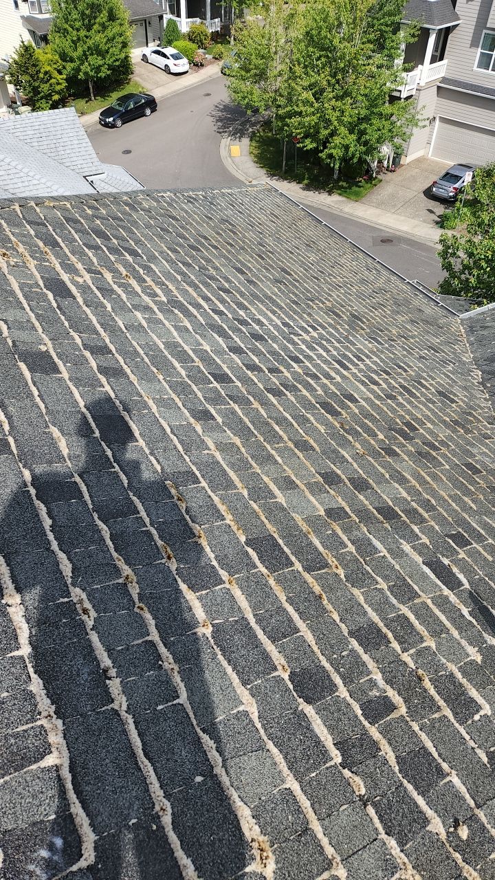 Our Work by Willamette Outdoor Wash LLC