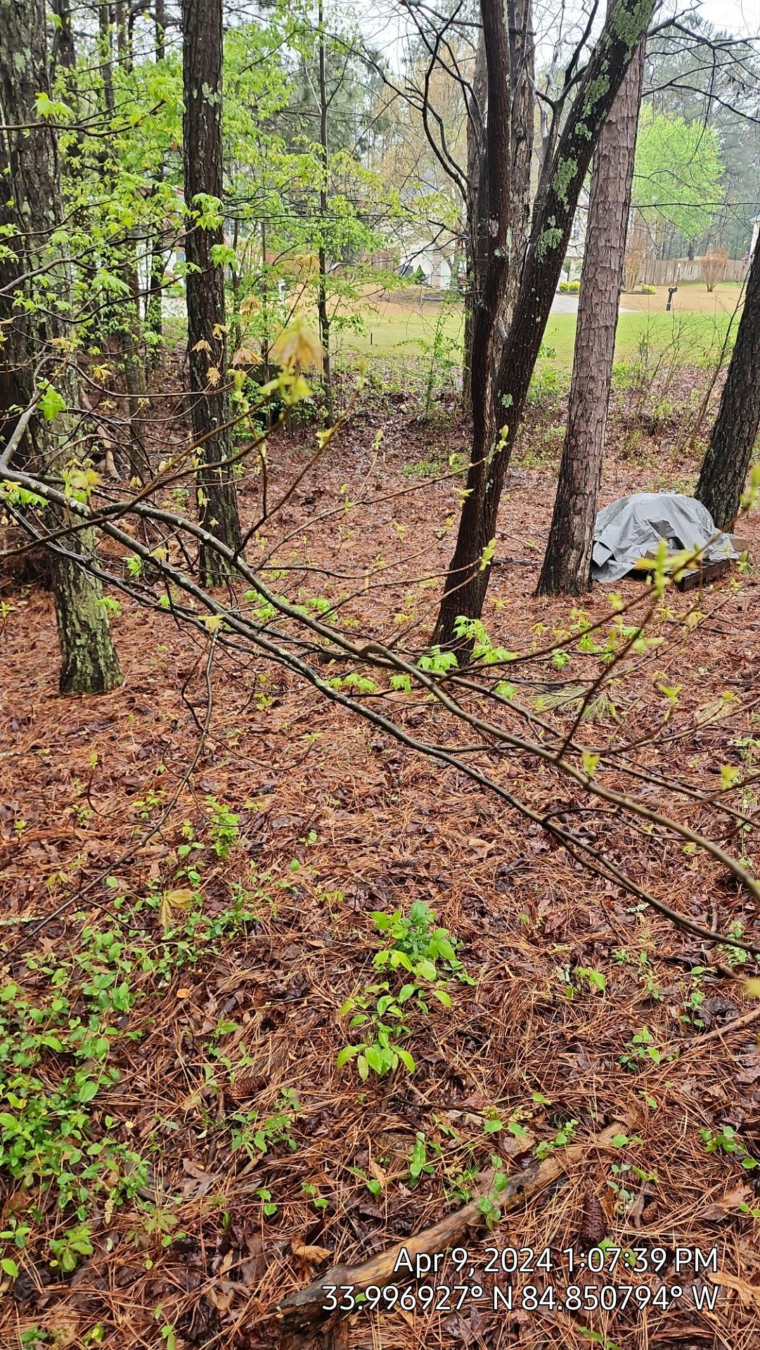 Fence Installation of 3 Rail Ranch with Wire Backing by Titans of Timber Fence & Stain