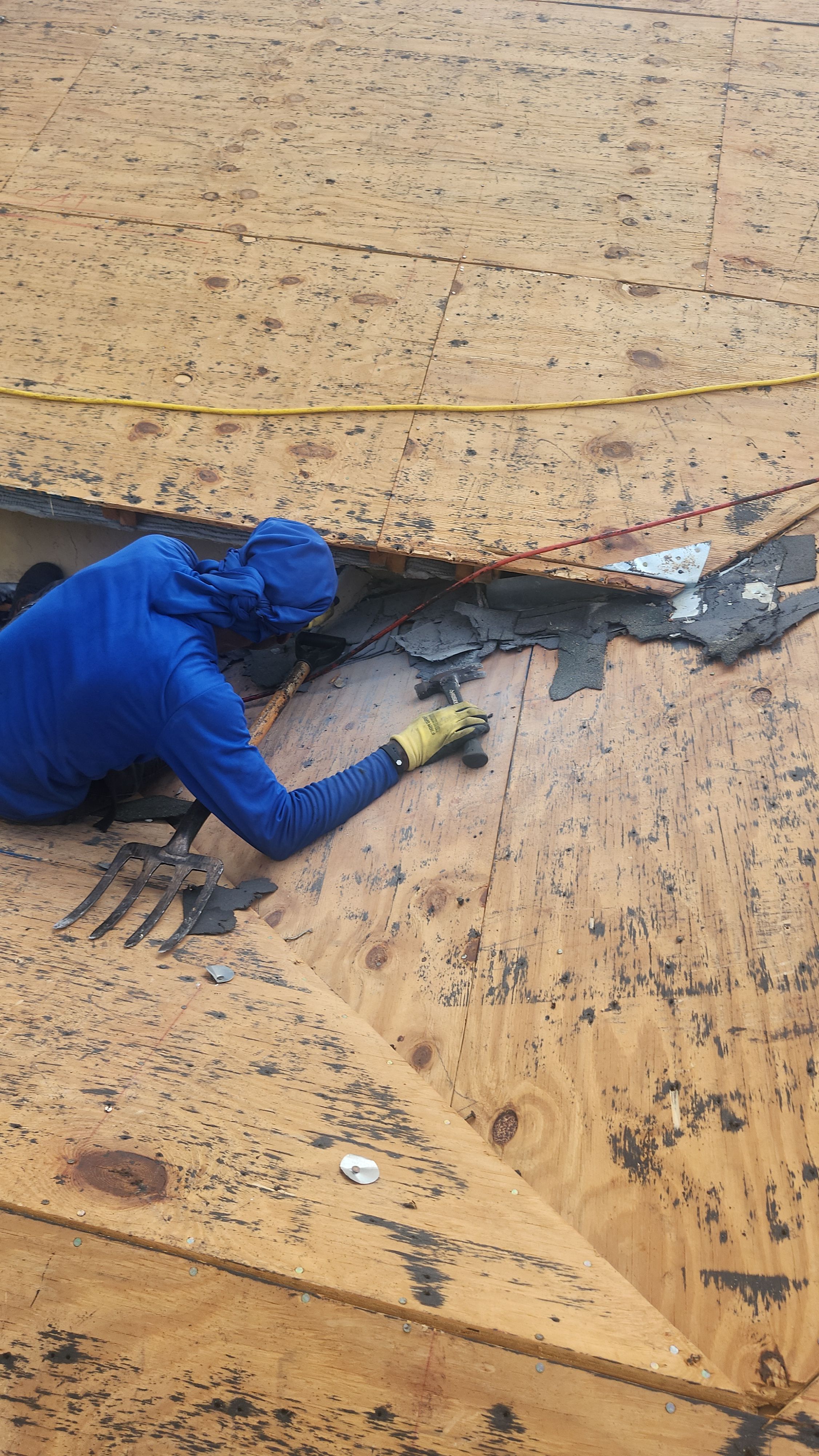 CertainTeed Shingle Roof Replacement for Residential Home in The Acreage by Aastro Roofing