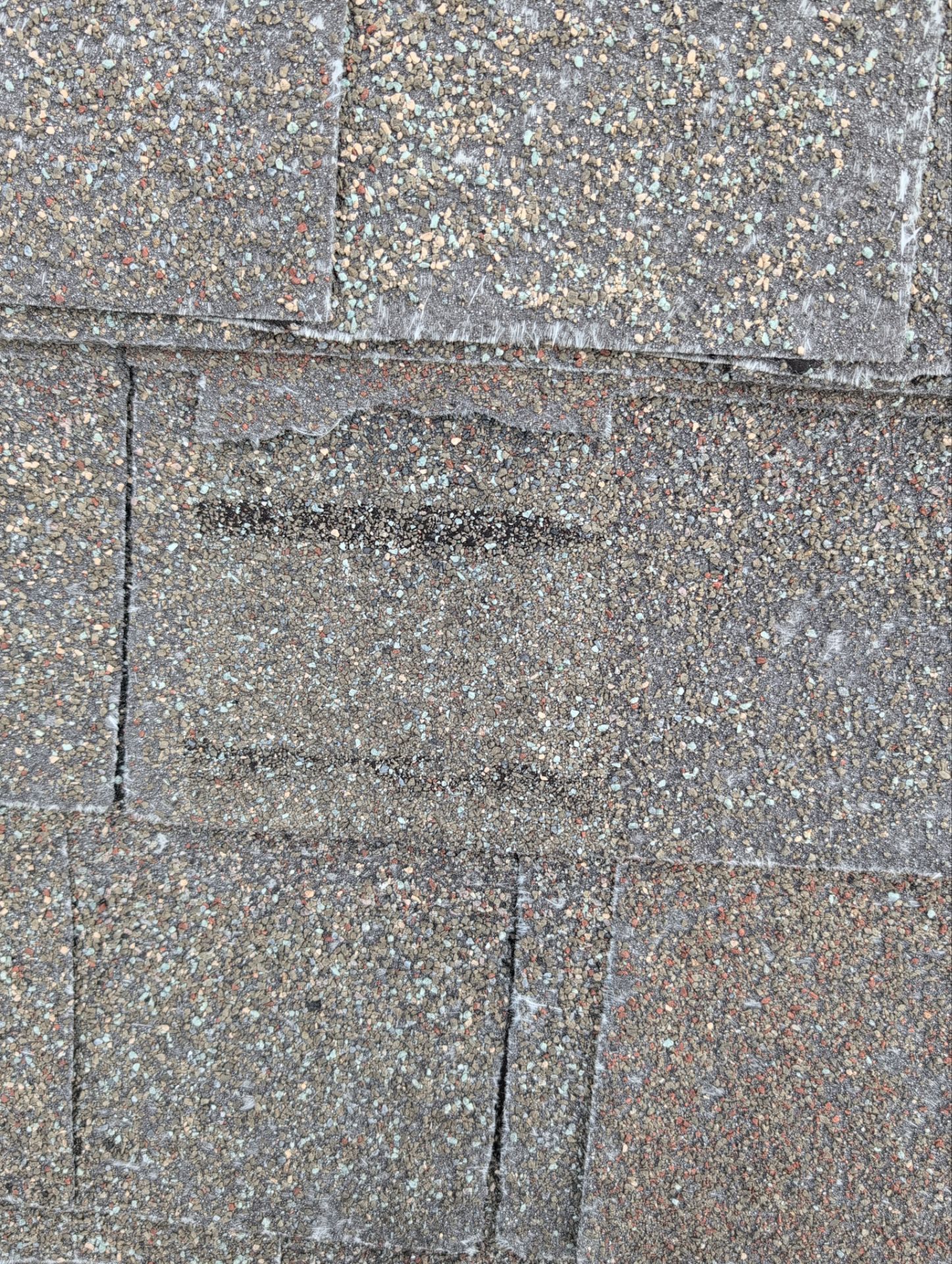 Roof Replacement & Seamless Gutters in Ozark by Table Rock Design + Build