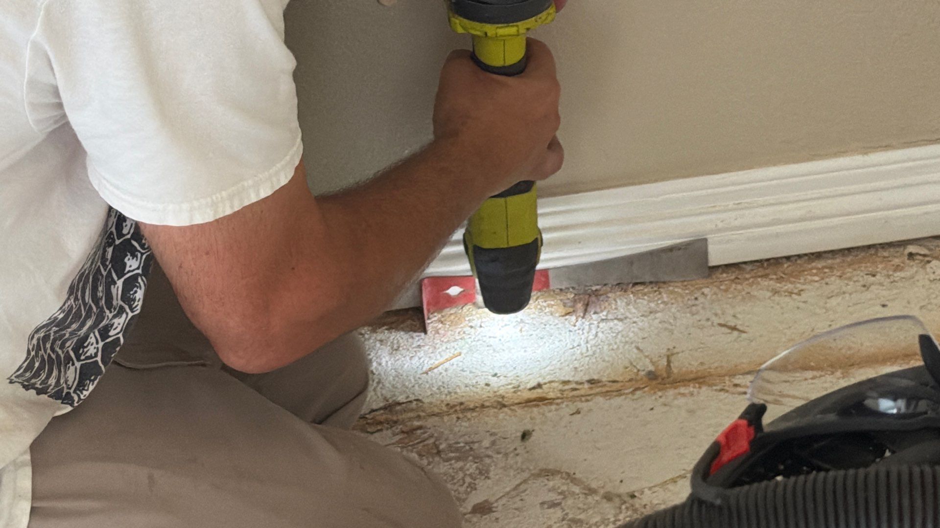 Same Room, Different Cavity, New Colony by Rockwall Honey Bee Company