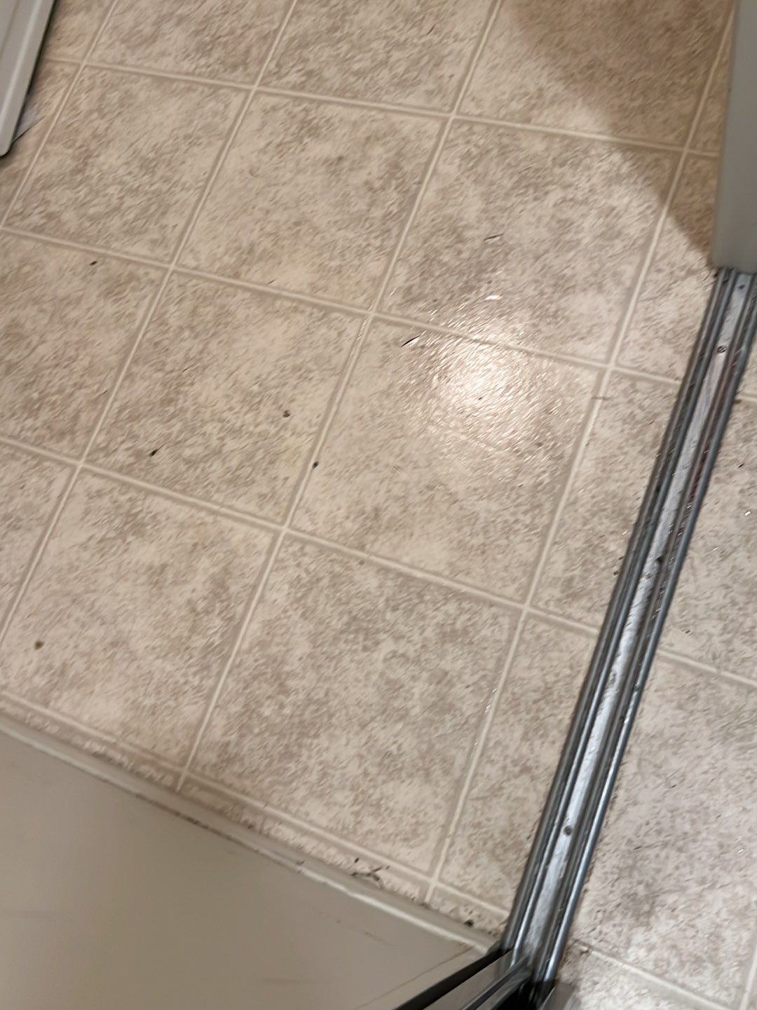 Moveout Clean - Very dirty by Tidyups Cleaning Service Inc