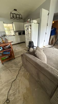 Wet Carpet Drying — Cape Coral, FL