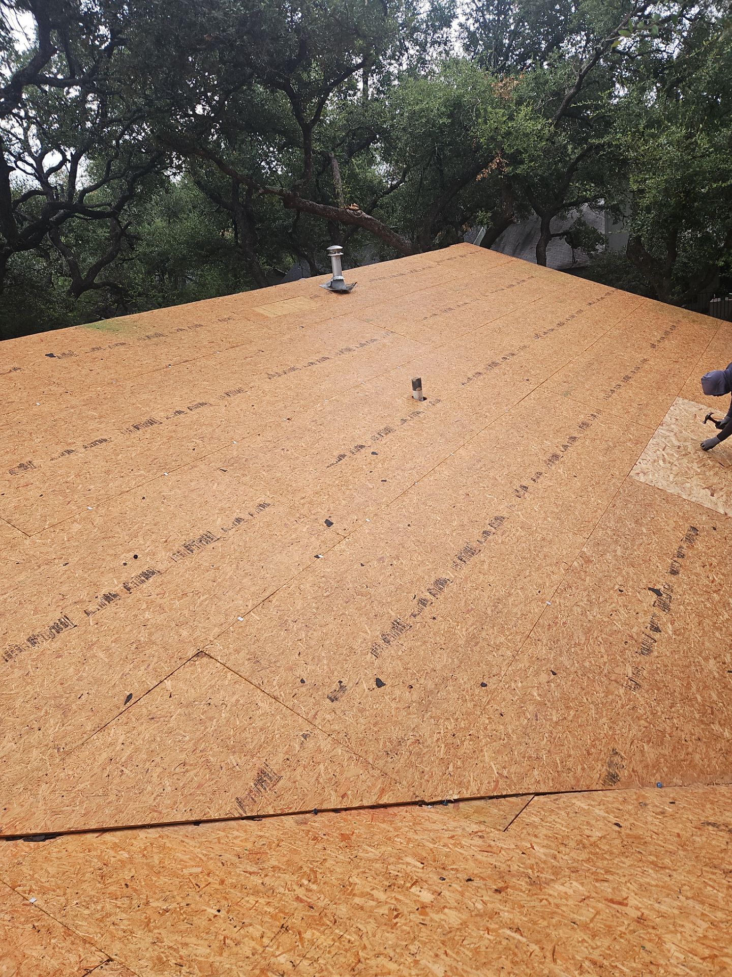 Remodel Referral Leads to Roof Upgrade by Action Exteriors Austin