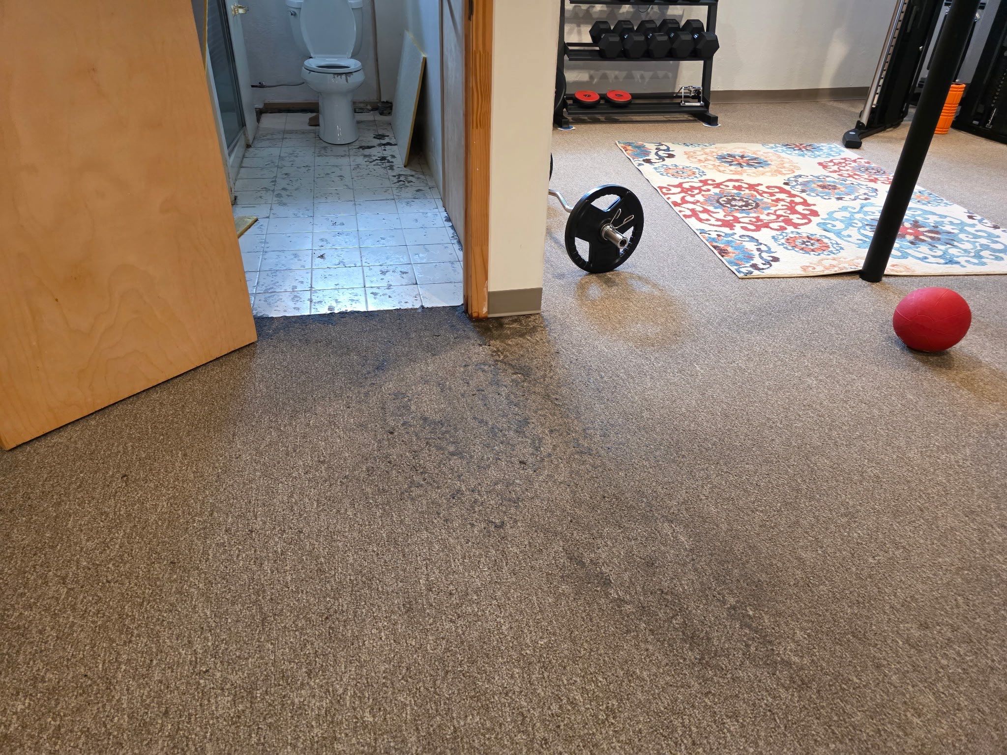 Project in Troy by EzDry Water Mitigation & Property Restoration