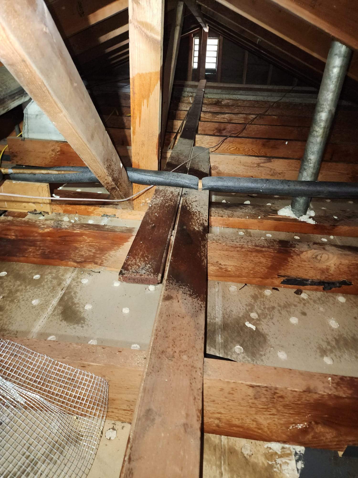 Project by Advanced Attic Solutions by Advanced Attic Solutions