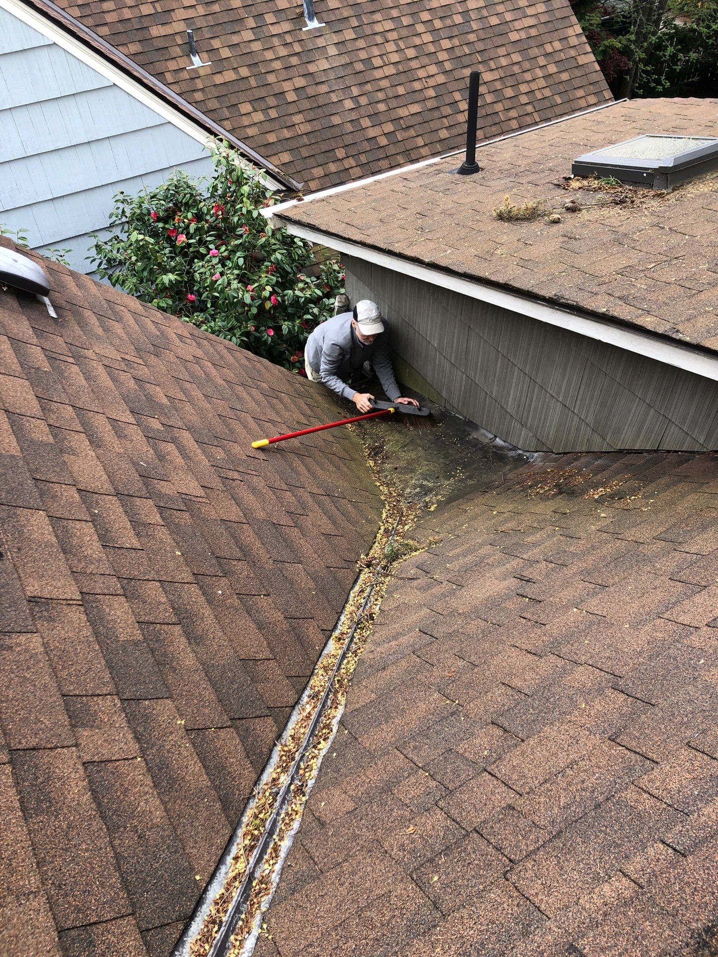 Project in Seattle by Peaks and Valleys Construction