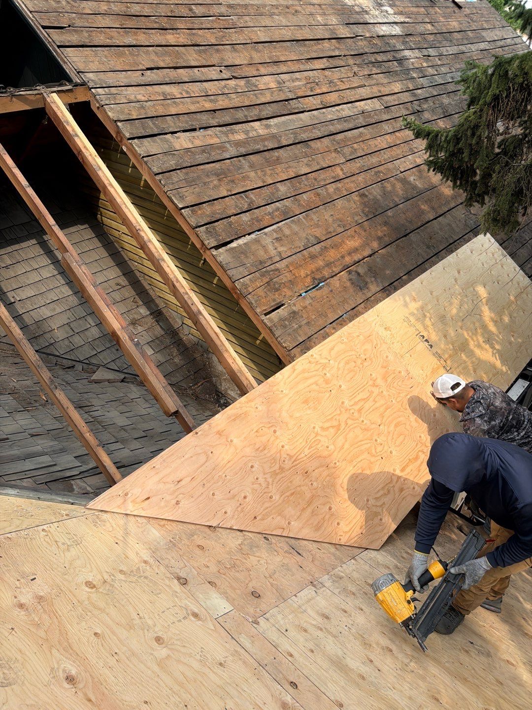 Roof Replacement - GAF Timberline HDZ - Chestnut Valley  by Montana Roofing Solutions