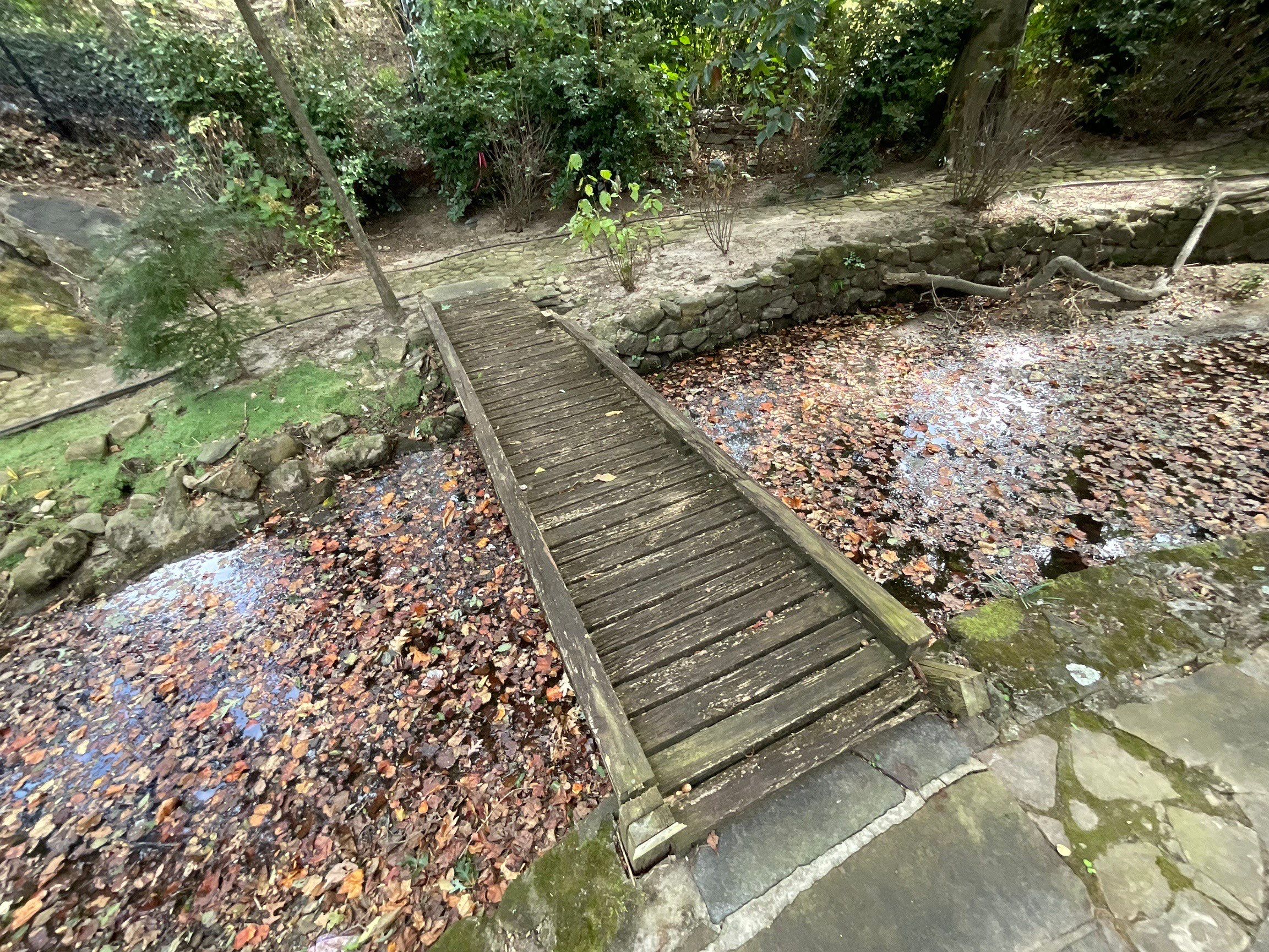 Pressure-Treated Wood Deck Replacement and Garden Bridge in Atlanta by Swift Home Renovations