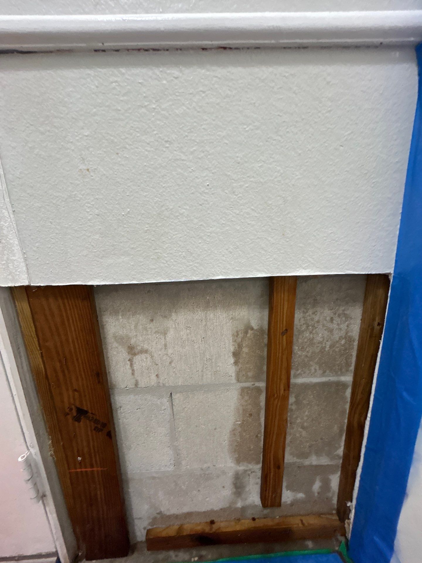 Stansell - water and mold photos  by THE RAPID TEAM