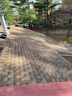 Roof Cleaning in Plainfield, NJ