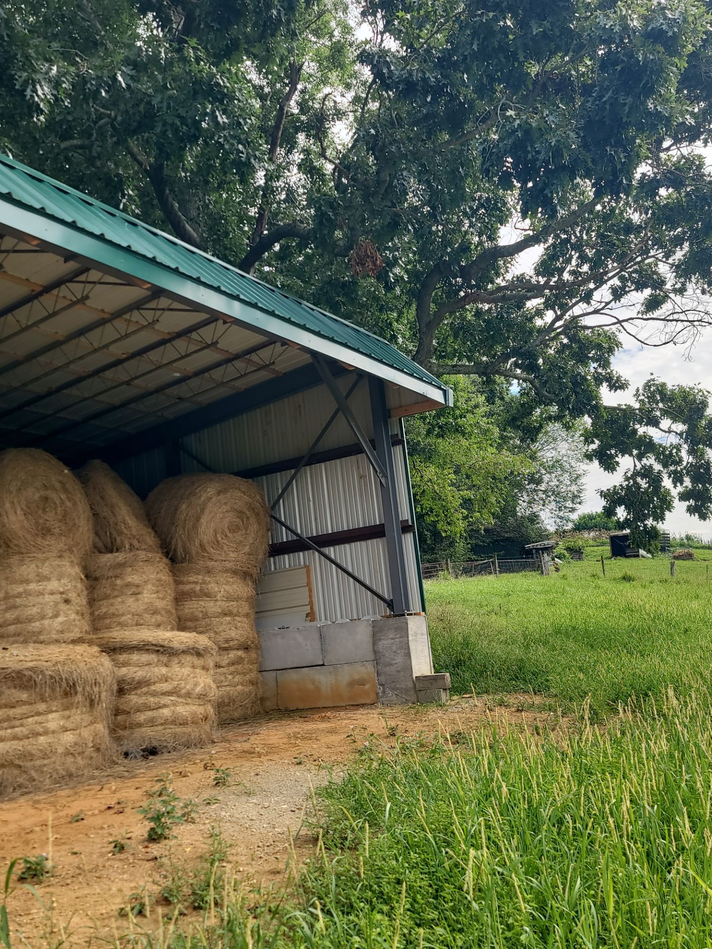 Harris Hay Shed by Omnia Roofing