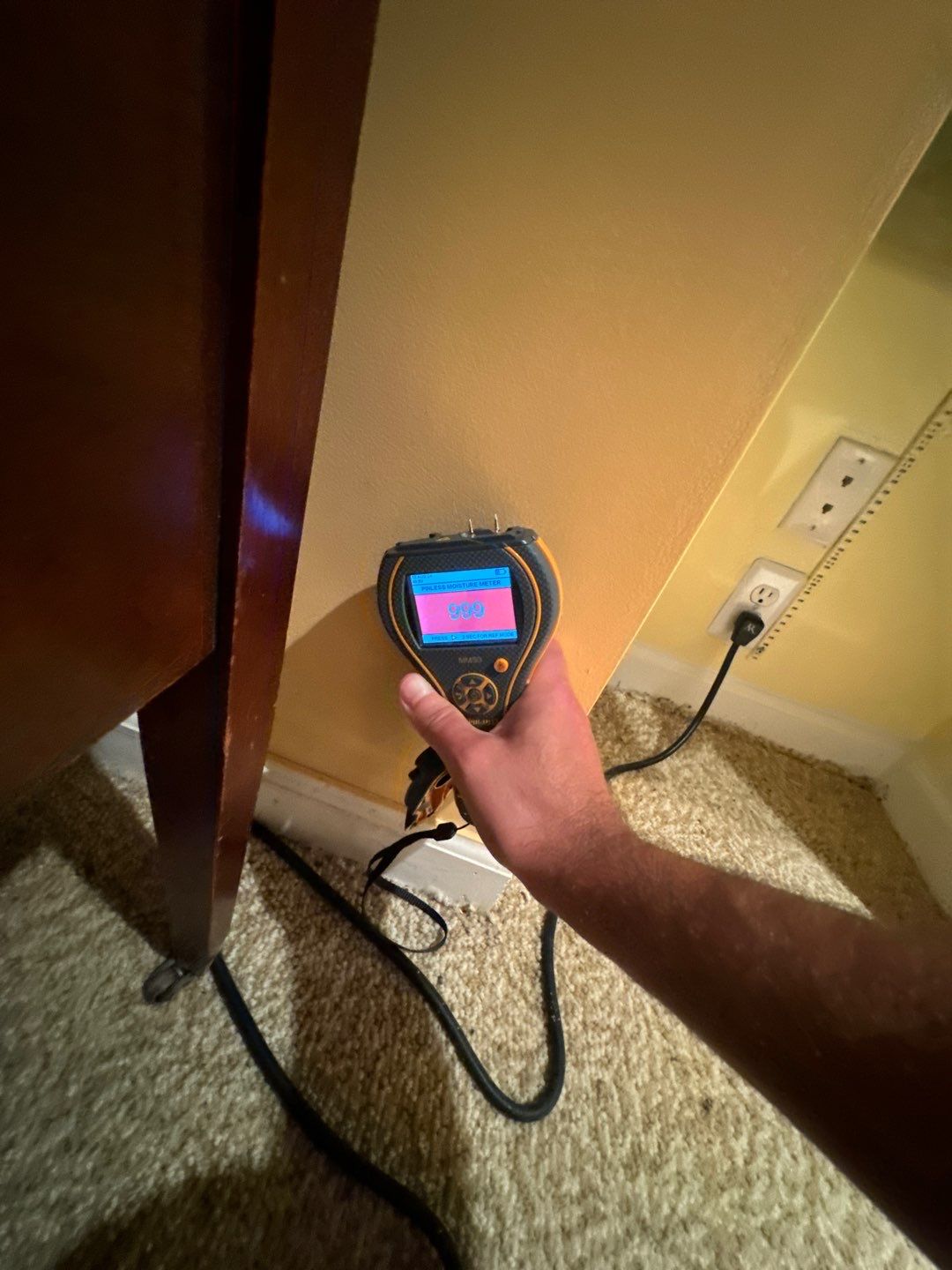 Project in Novi by EzDry Water Mitigation & Property Restoration