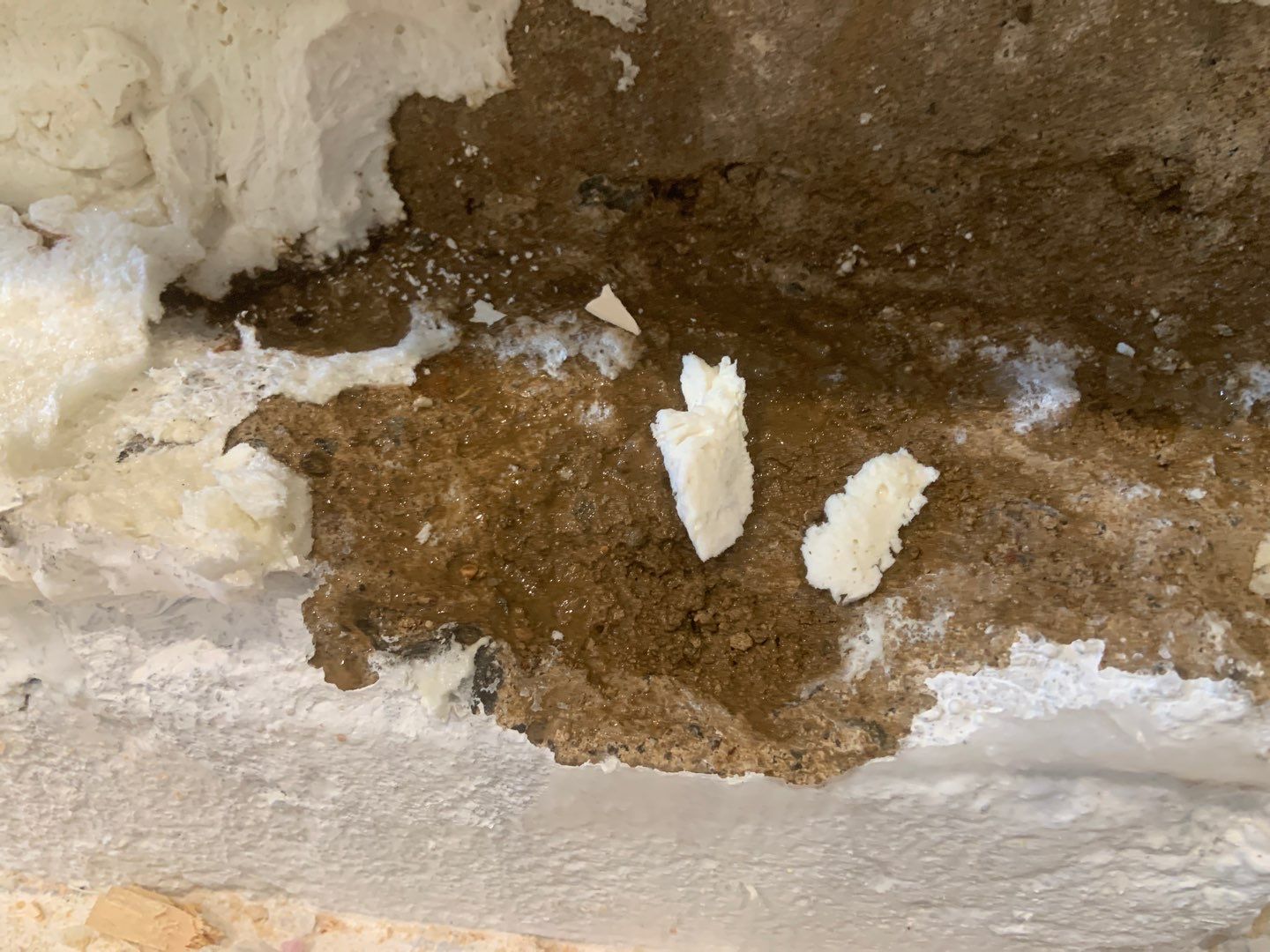 Fixing a Persistent Leak for Dustin in New Brighton by Waterproofing Northeast