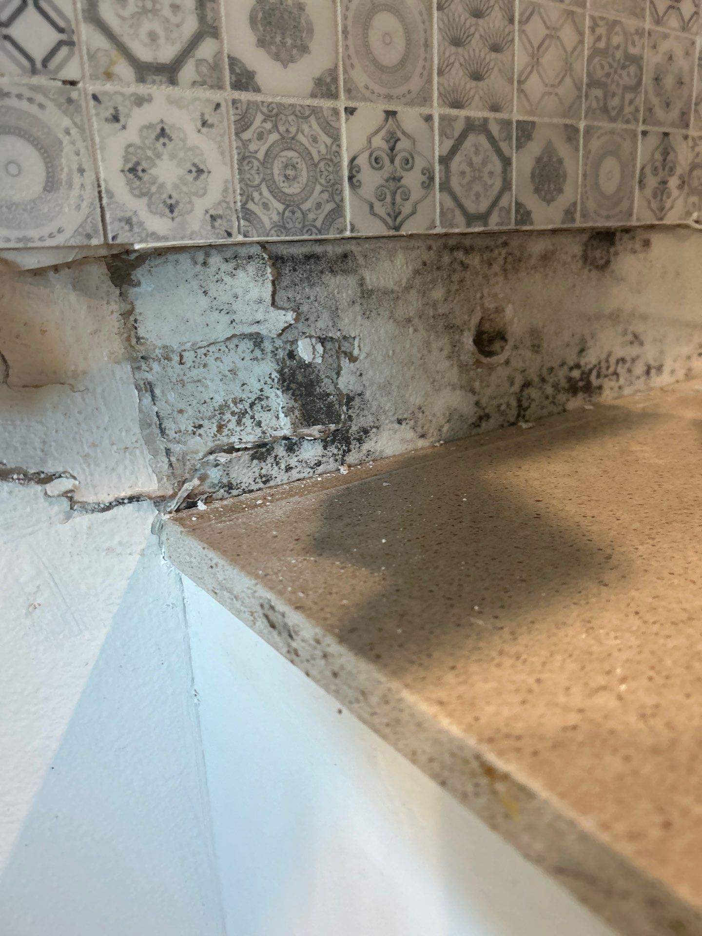 Palmetto Mold Removal & Repair by Ampm Restoration Services 