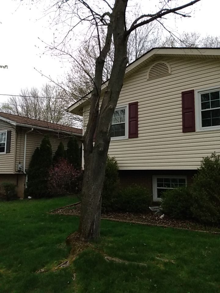 Tree Removal using Tree Removal by Mike Jones & Sons Tree Service LLC 