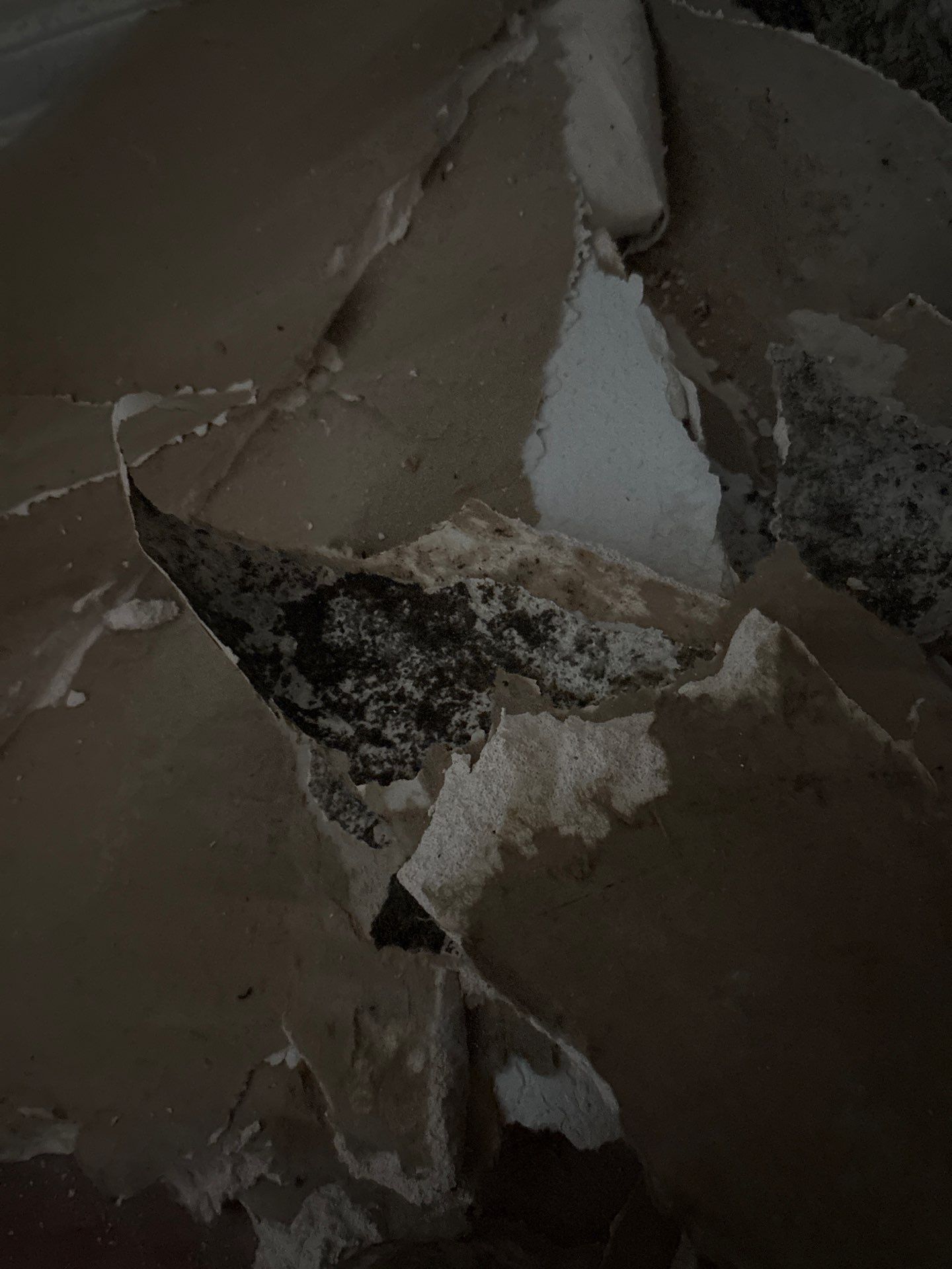 Water Damage Mitigation by All Dry Services of North Austin