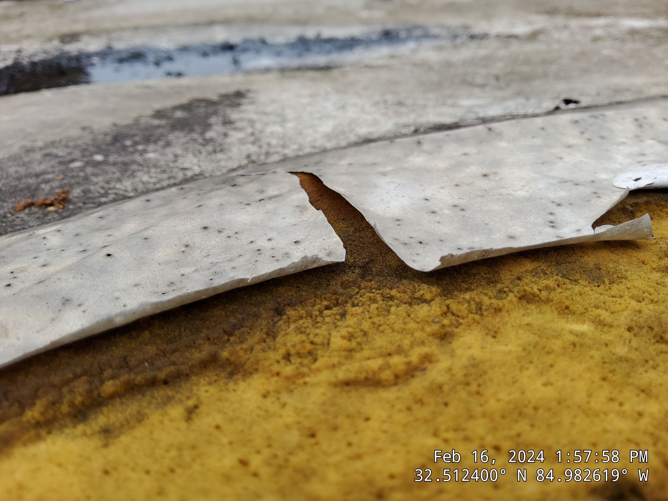 Master Clean Roof and Gutter Cleaning by iGreen Solutions