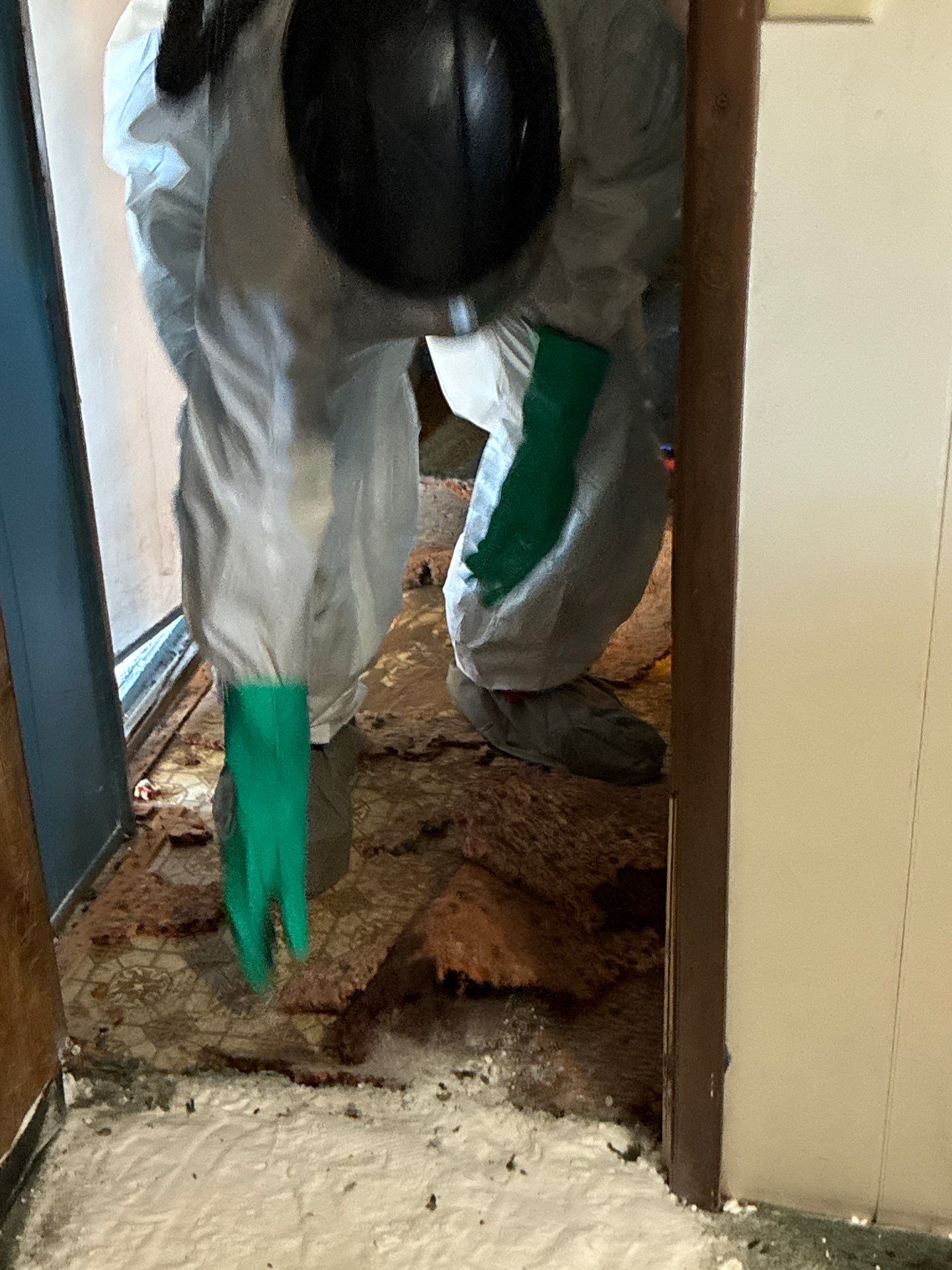 Project in Jackson by 911 Hazmat Cleanup 