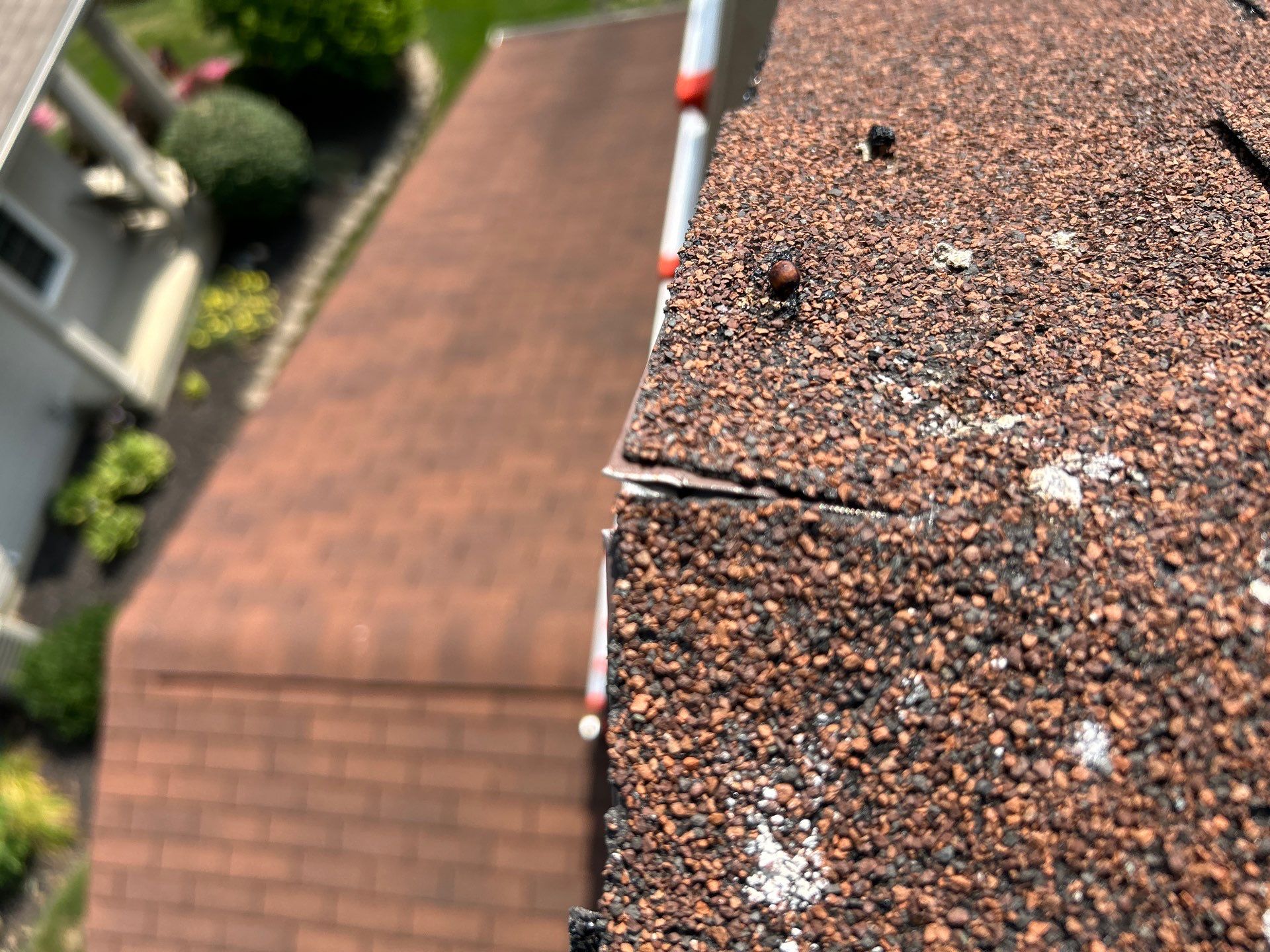 Residential Roofing Installation using Timberline HDZ Shingles - Hickory by RoofX 