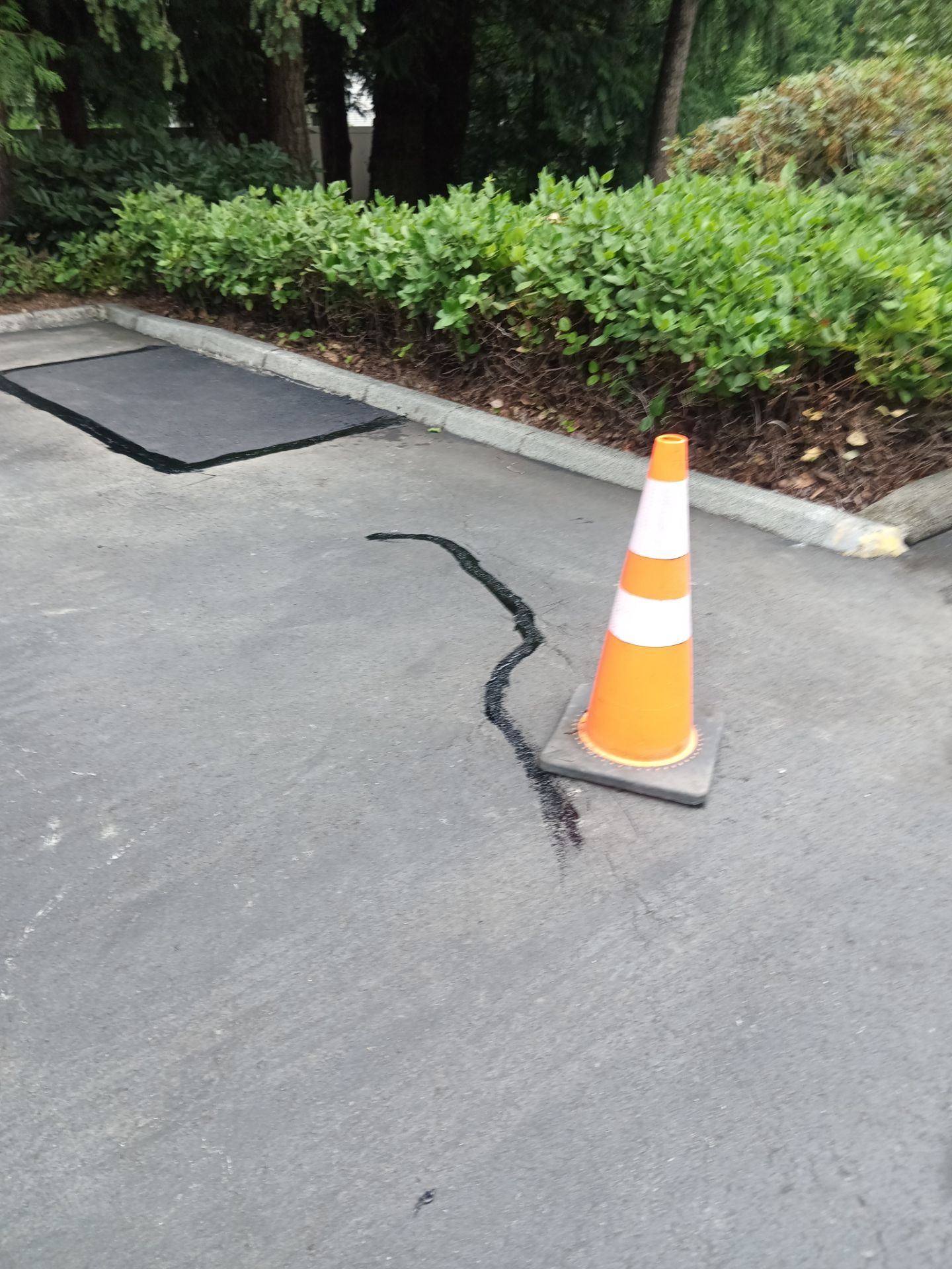 Curb Repaint | Seattle  by Jireh Asphalt & Concrete Inc 