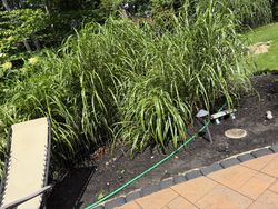 Roof Cleaning in Morris Plains, NJ — Gallo Bros job photo