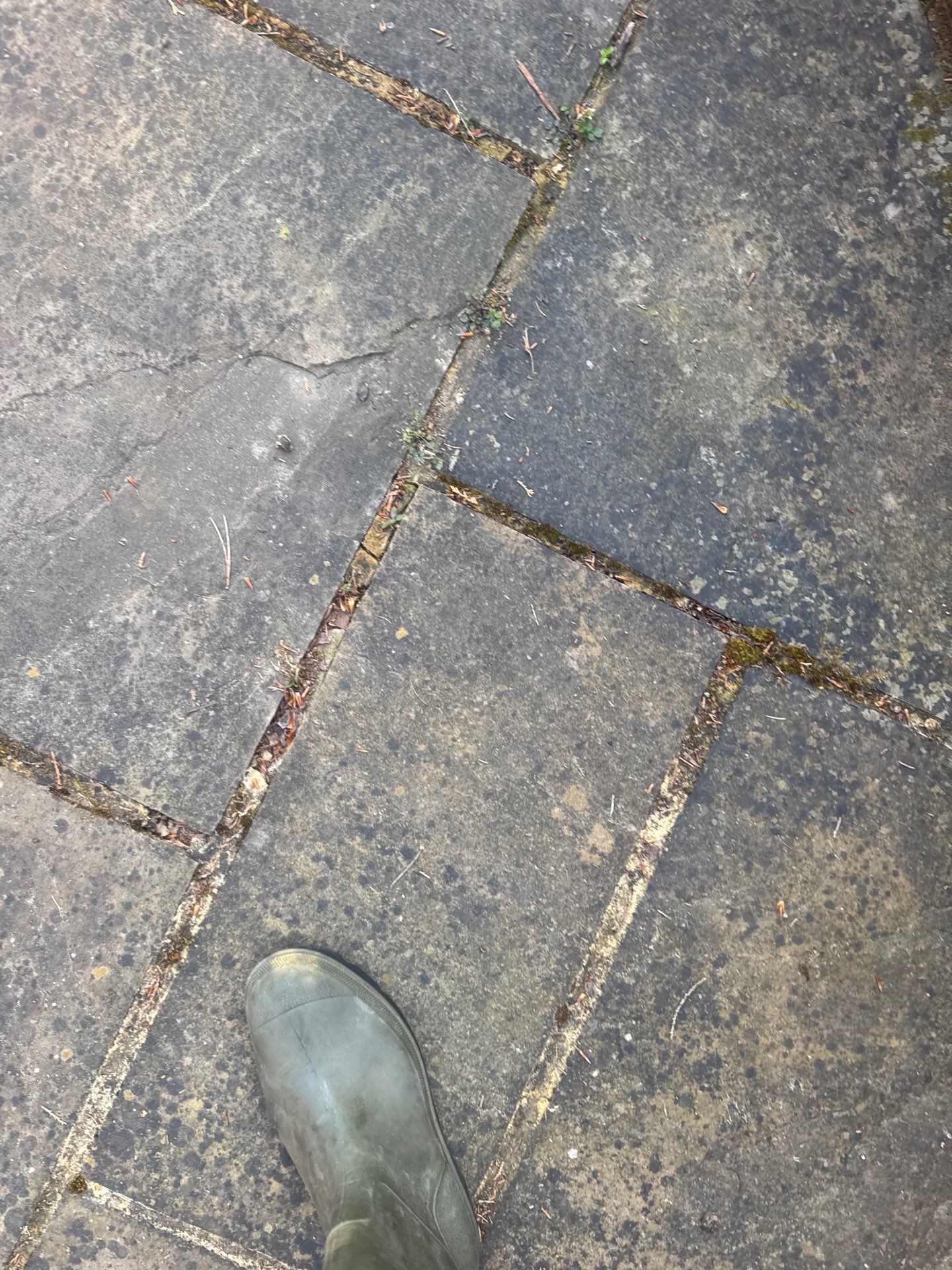 Patio Area Spring Clean using 18inch Whirlaway FSC by Ges Exterior Cleaning ltd