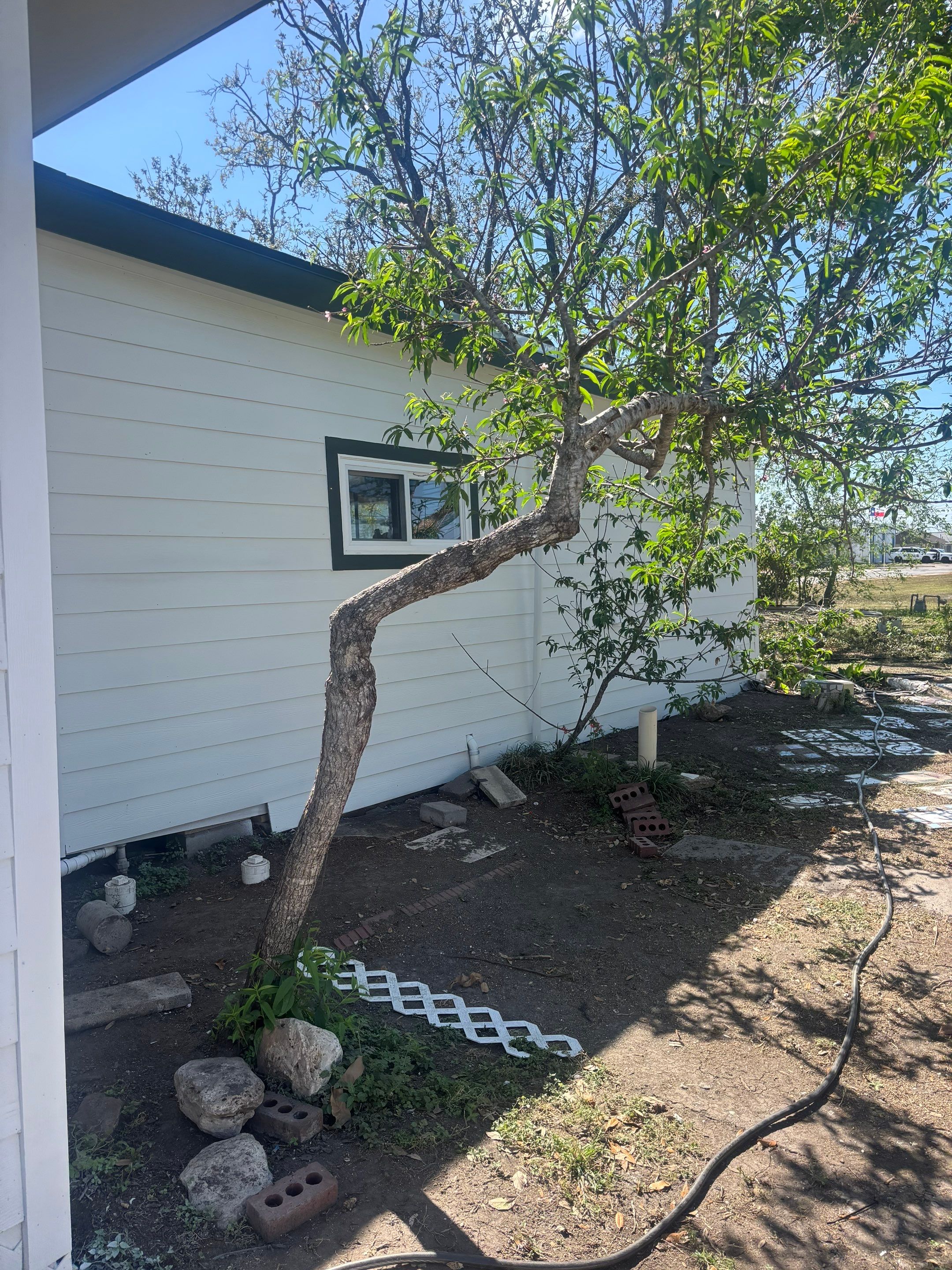 Mid-Century Bungalow by Bayfront Roofing and Construction