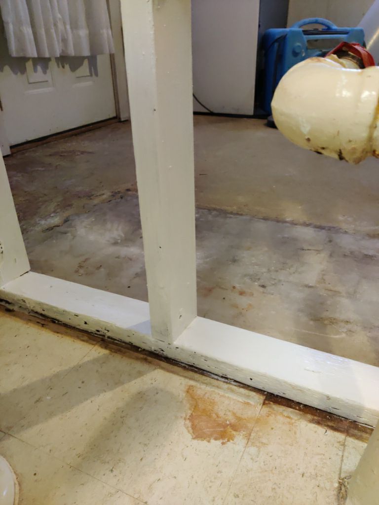 Mold Remediation in Basement by Accountable Home Services