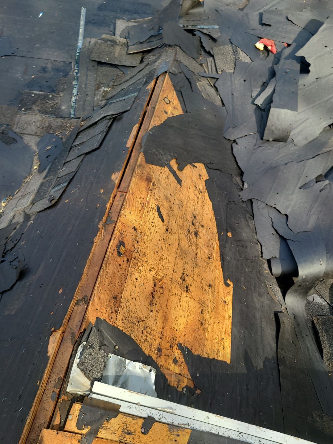 Falls Church: Roof Replacement with CertainTeed Landmark Pro in Max Def Pewterwood by RM Banning, Inc.