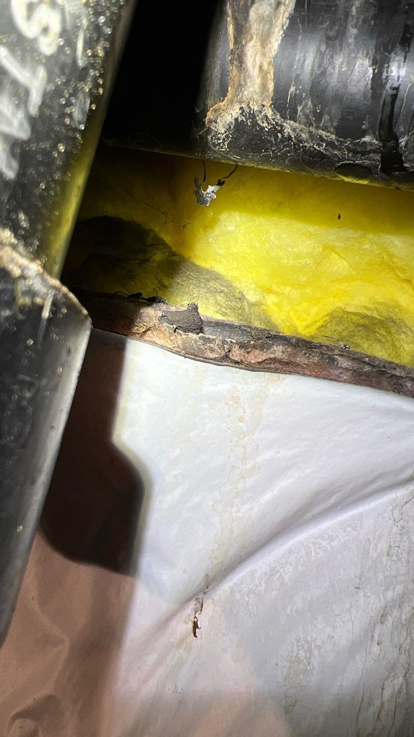 Mold Remediation by Accountable Home Services