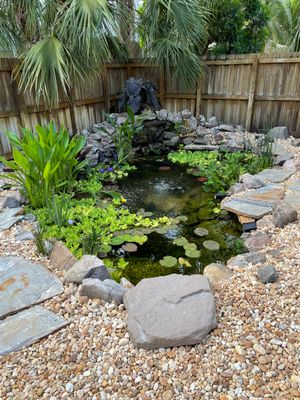 Small Koi Pond
