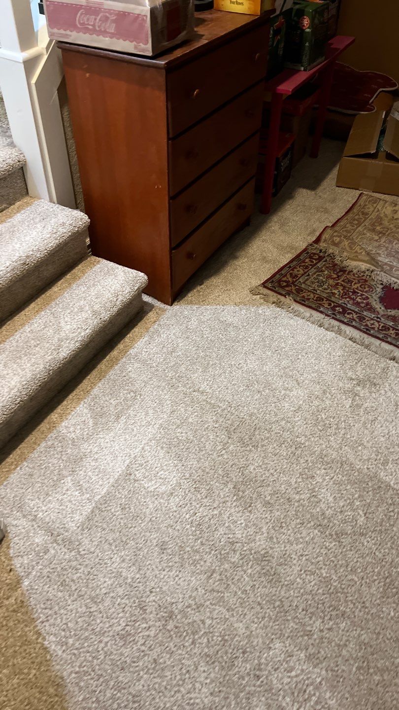 Mold Remediation by Accountable Home Services